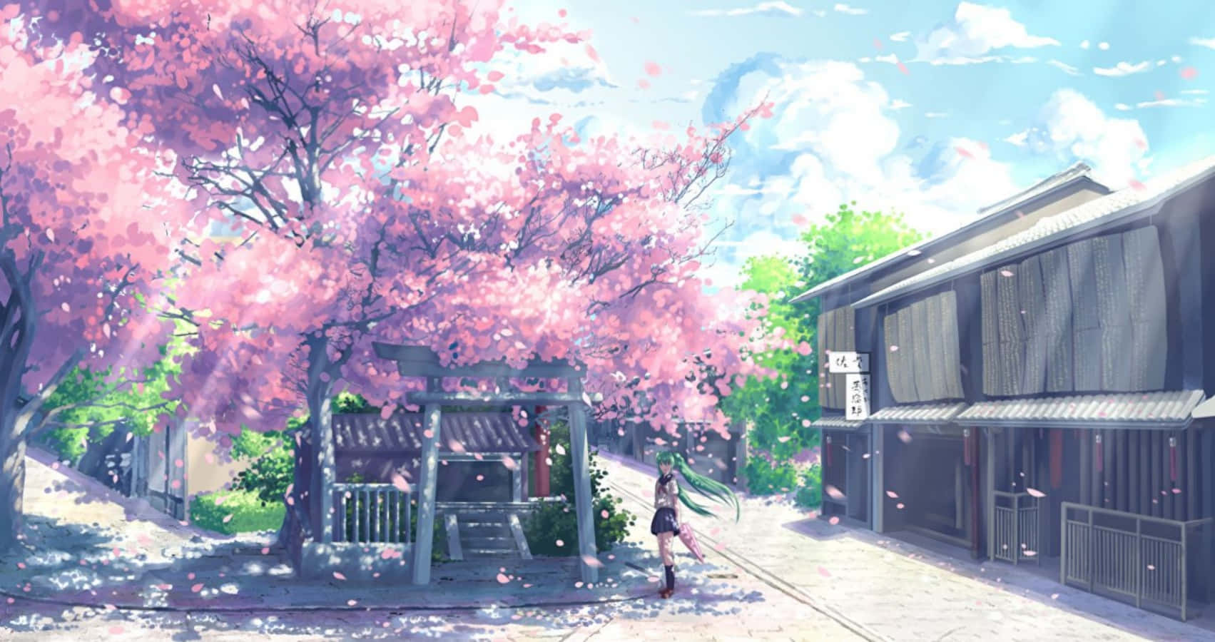 Sakura Anime, green hair, blossoming pink cherry tree, HD Desktop Wallpaper