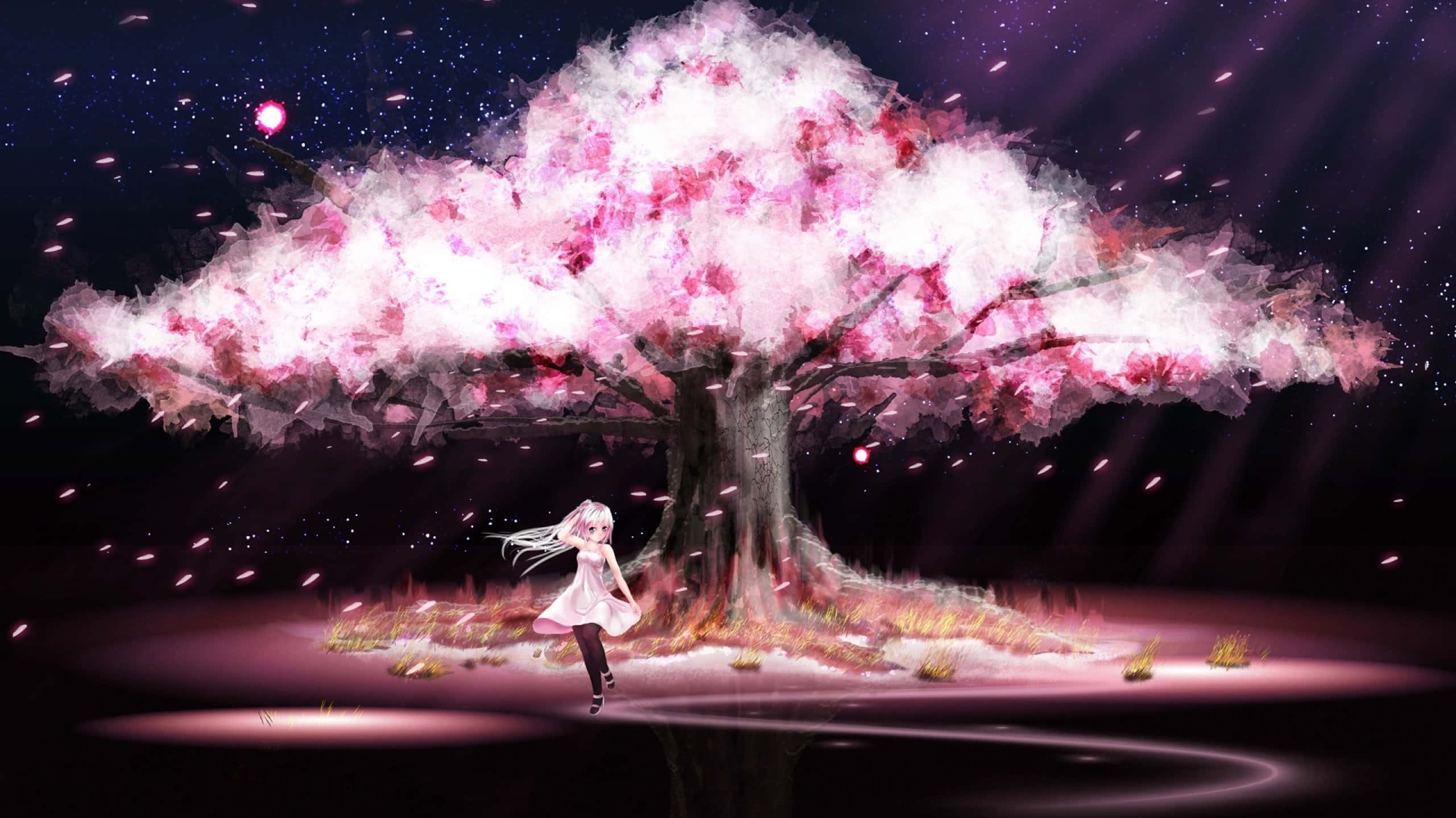 Sakura, cherry blossom tree, pink light, 2K Desktop Wallpaper
