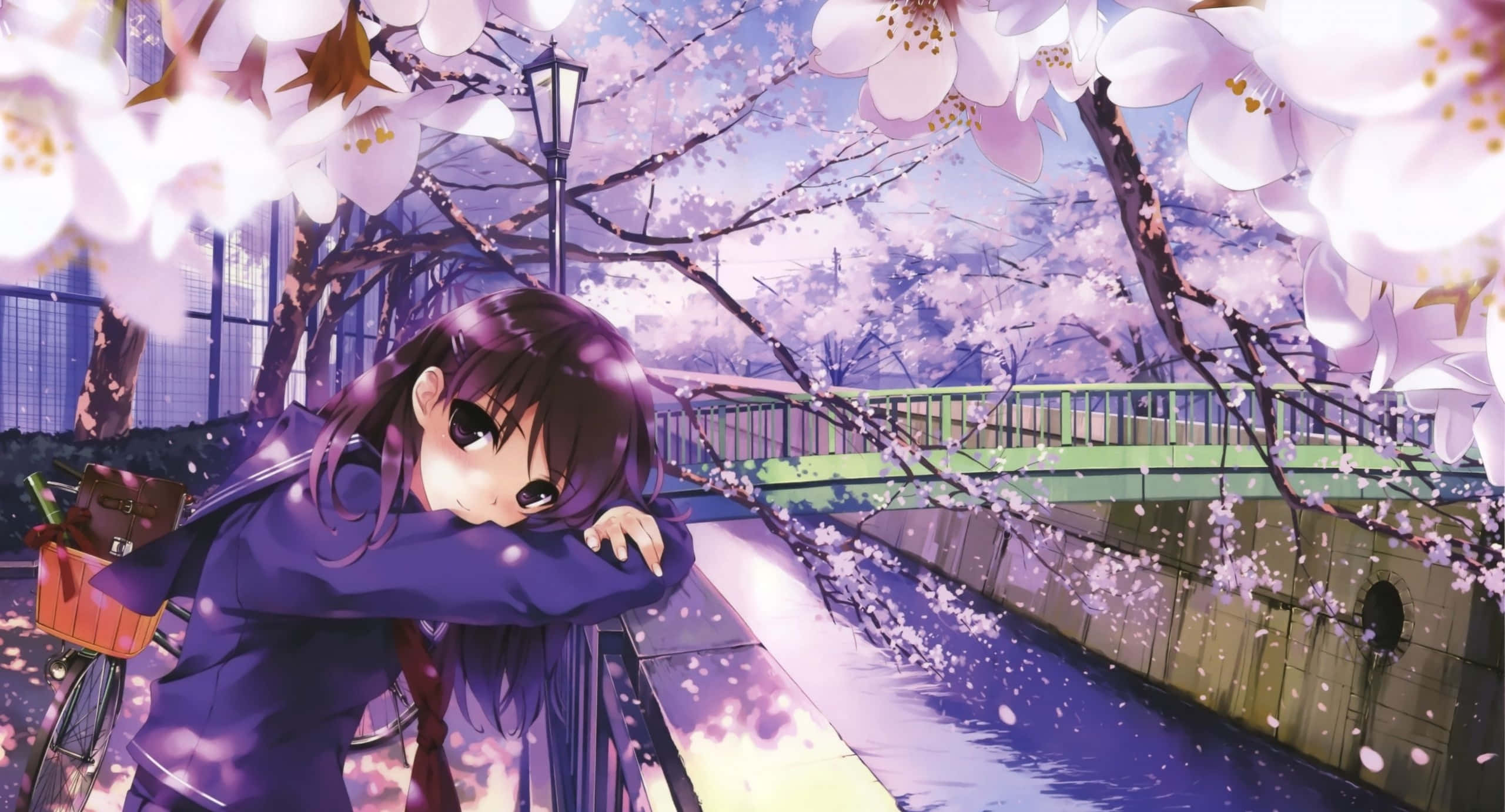Sakura Anime, purple-haired anime girl, bridge, 2K Desktop Wallpaper