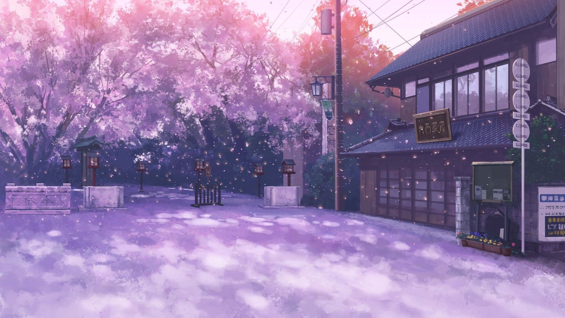 Sakura Anime, anime-style street, soft pink cherry blossom petals, Full HD Desktop Wallpaper