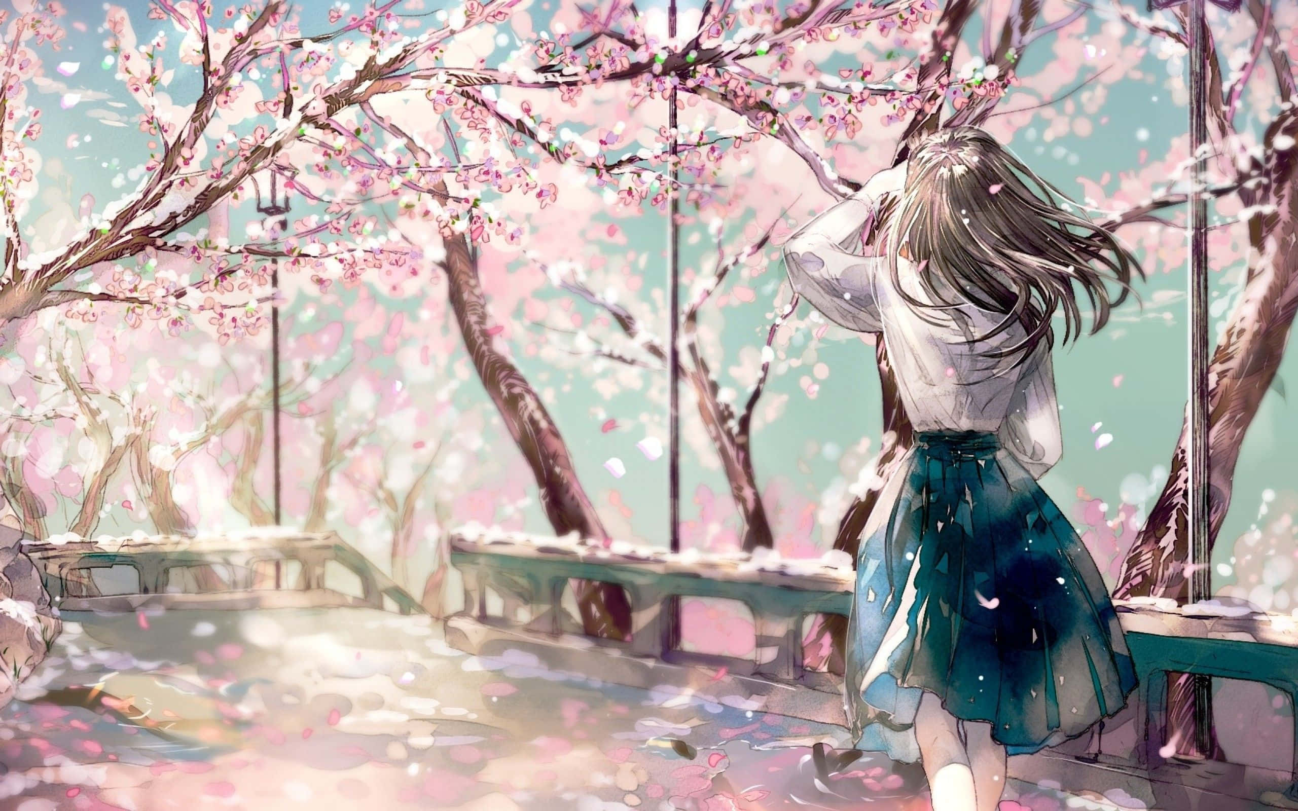 sakura anime, cherry blossom trees, long hair, 2K Desktop Wallpaper