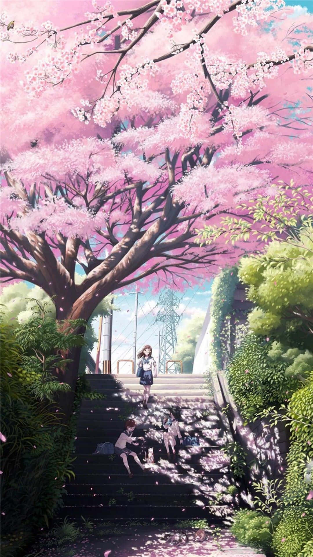 sakura anime wallpaper, cherry blossom tree, pink petals, Full HD Phone Wallpaper