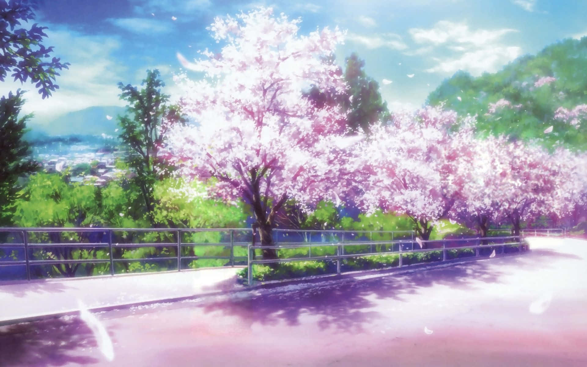 Sakura Anime, pink cherry blossoms, winding path, Full HD Desktop Wallpaper