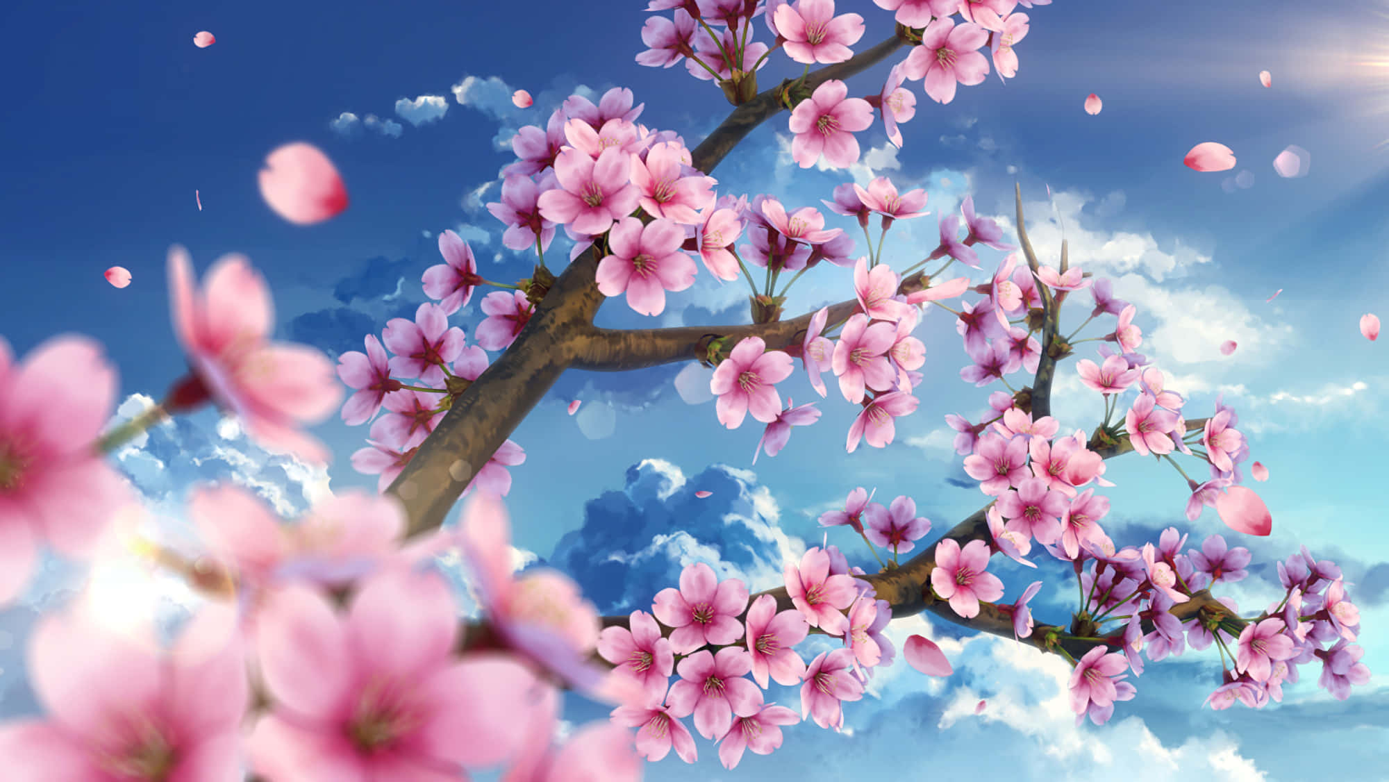 Sakura Kouno, pink cherry blossoms, bright blue sky, Full HD Desktop Wallpaper