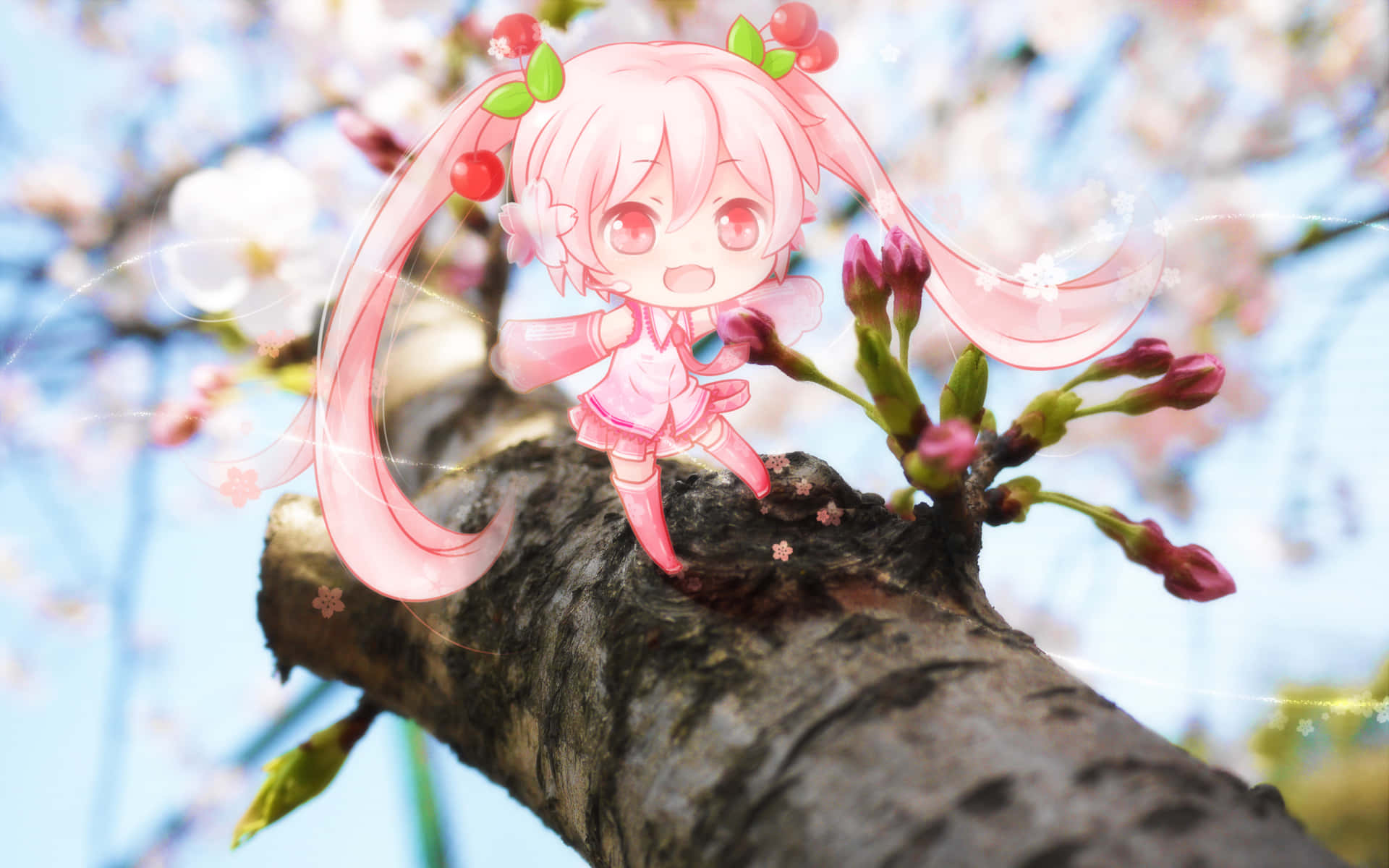 Sakura Miku, pink-haired anime girl, cherry blossom accessories, Full HD Desktop Wallpaper