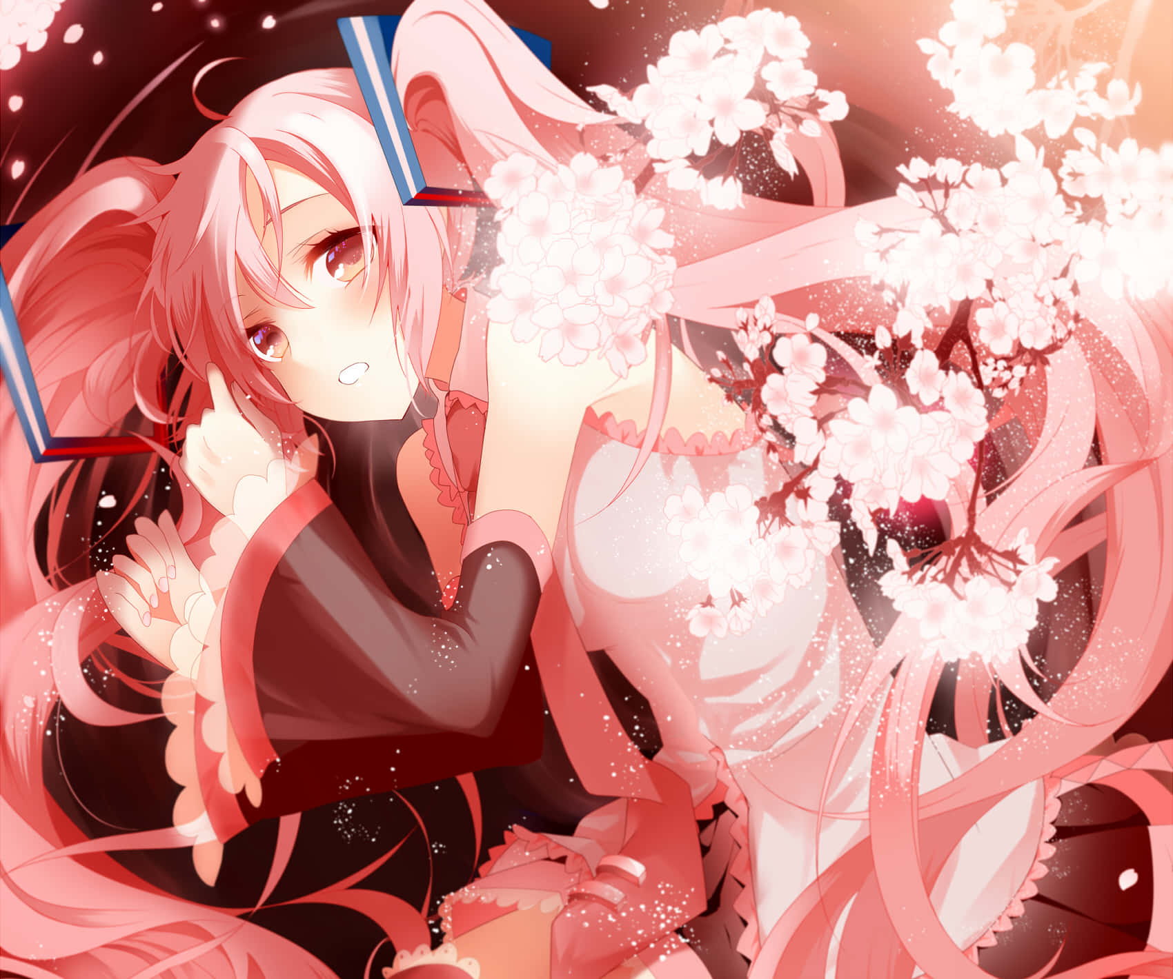 Sakura Miku, pink-haired anime girl, red and white outfit, HD Desktop Wallpaper