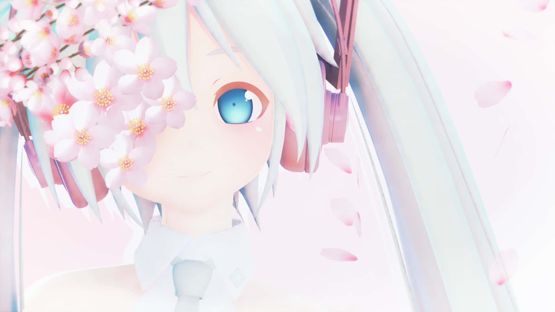 Sakura Miku, anime girl, silver hair, Full HD Desktop Wallpaper