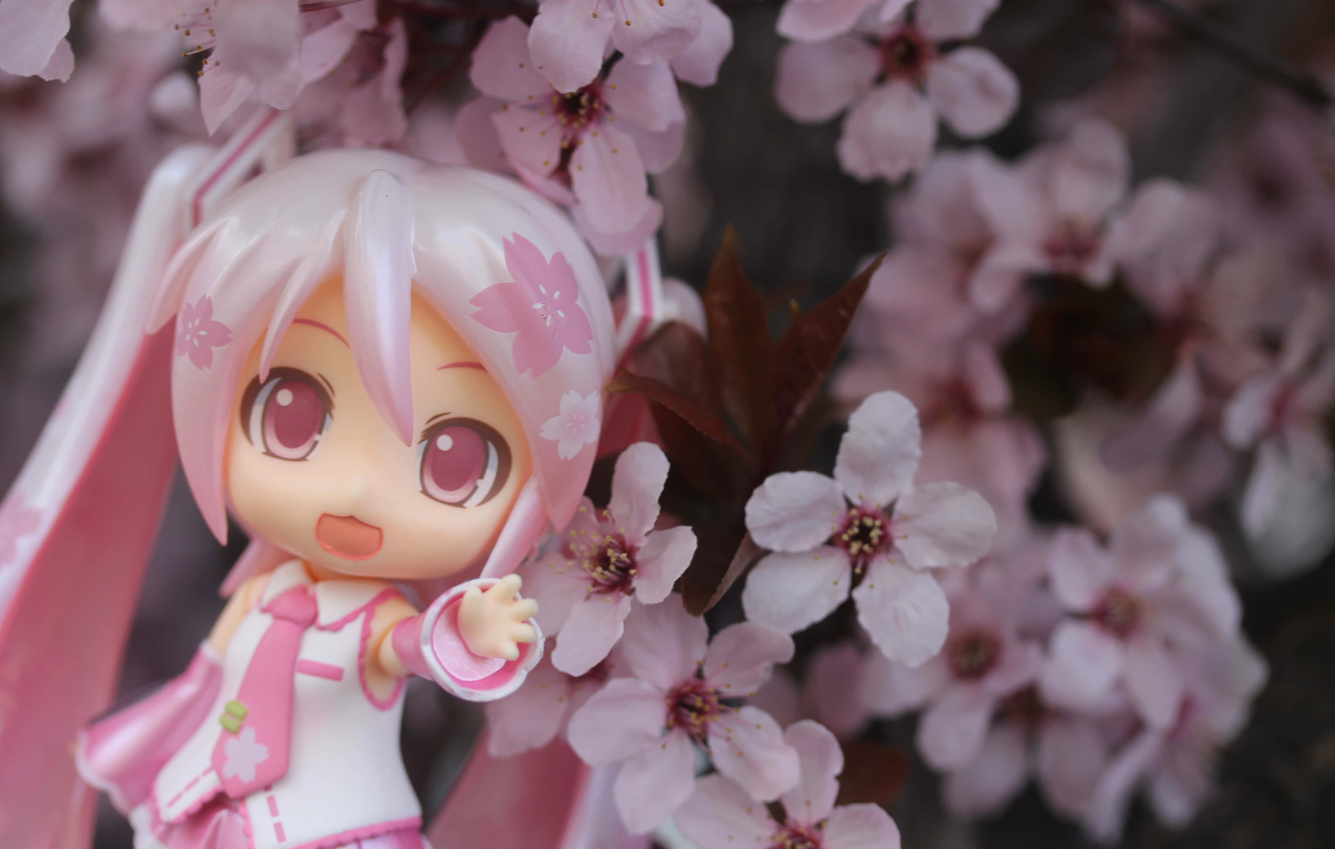 Sakura Miku, pink-haired anime figurine, soft pink cherry blossoms, 4K Desktop Wallpaper