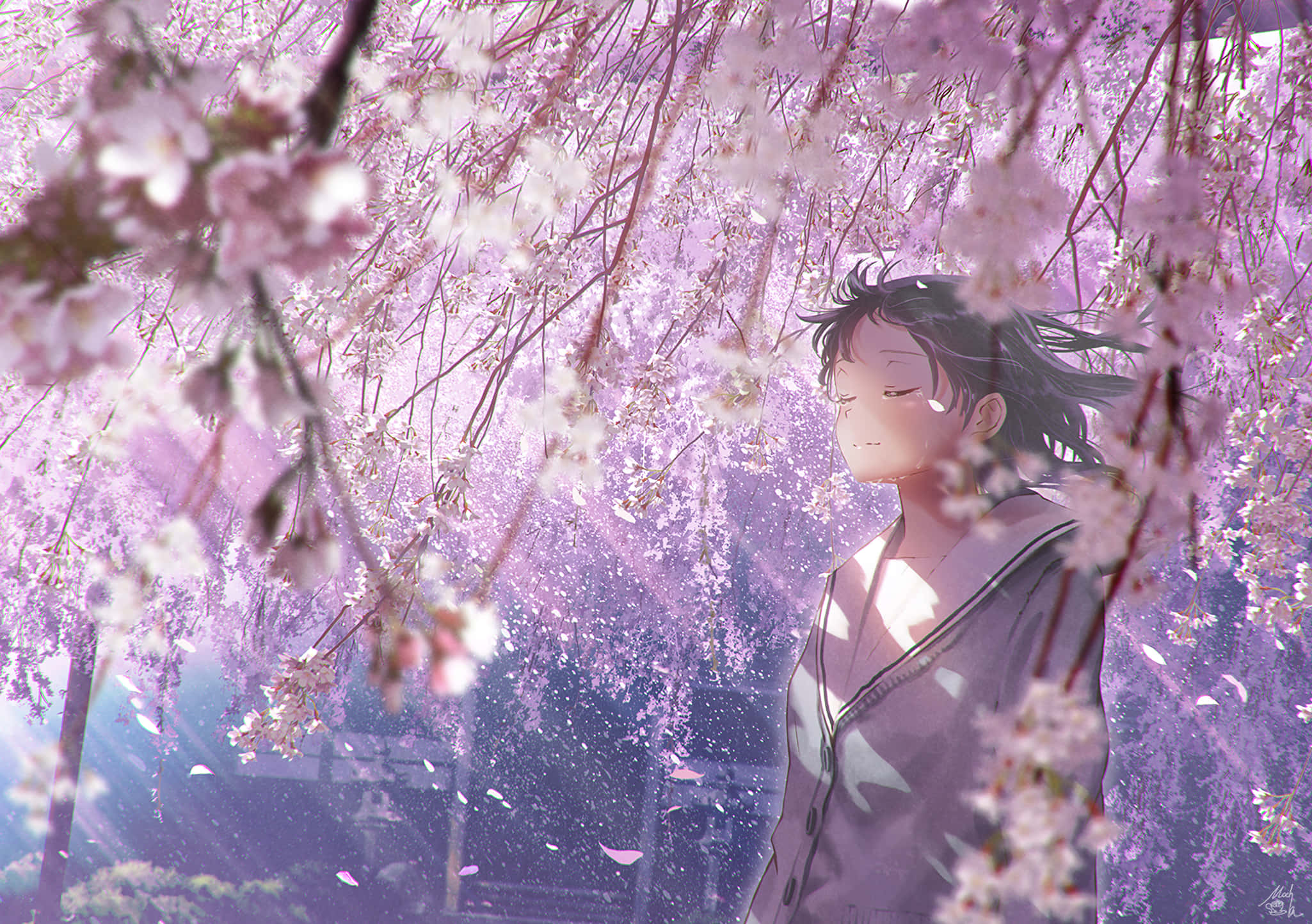 Sakura PC, anime girl, pink cherry blossoms, Full HD Desktop Wallpaper