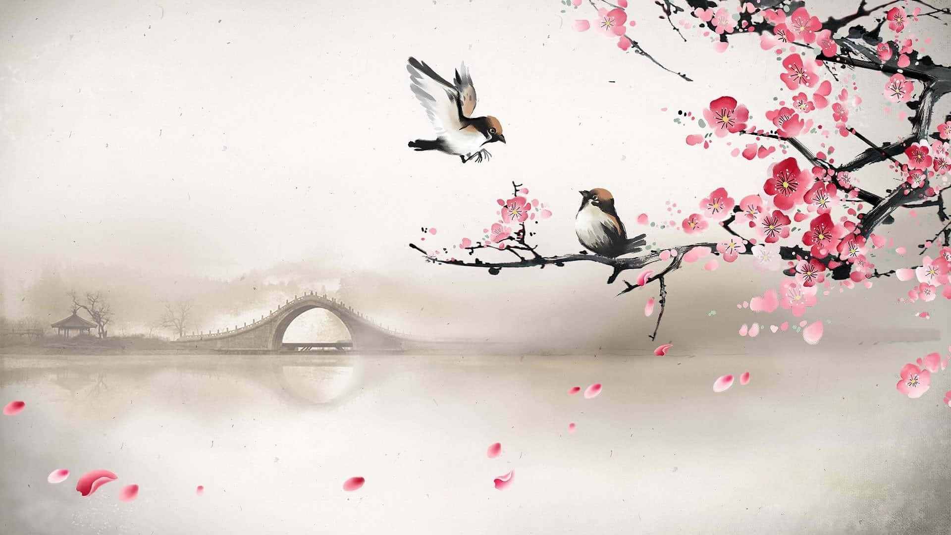 Sakura Pc, 1920 x 1080, blossoming cherry branch, Full HD Desktop Wallpaper