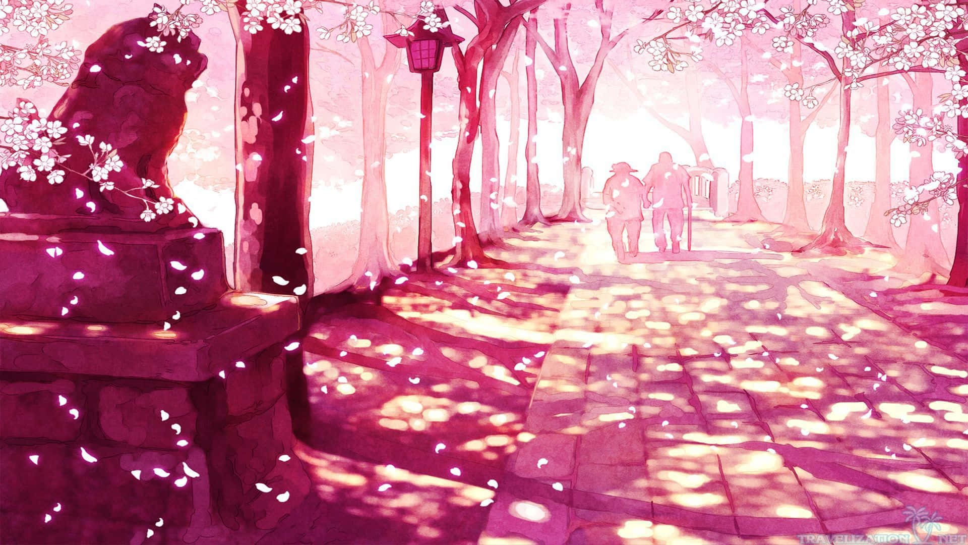 Sakura Pc, pink cherry blossom pathway, falling petals, Full HD Desktop Wallpaper