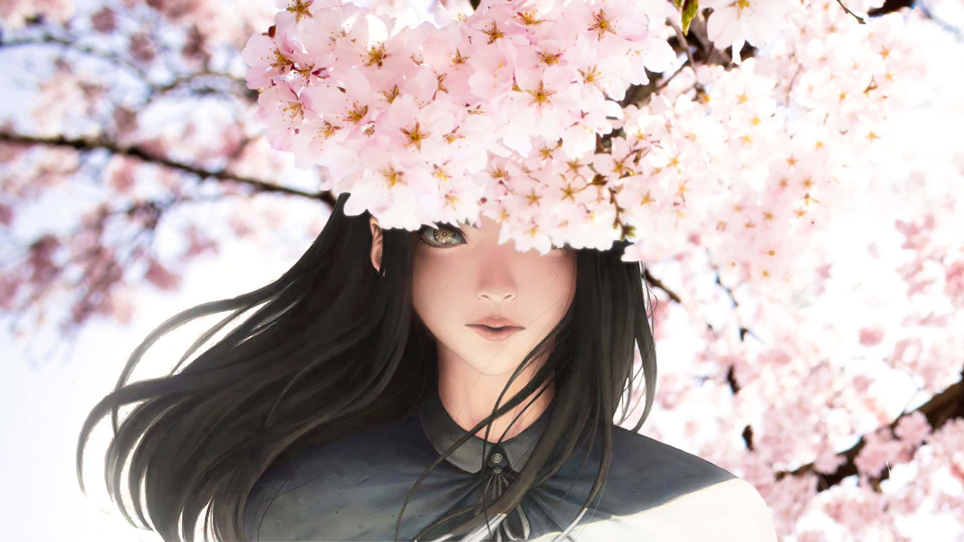 Sakura anime flowers, long black hair, pink cherry blossoms, Full HD Desktop Wallpaper