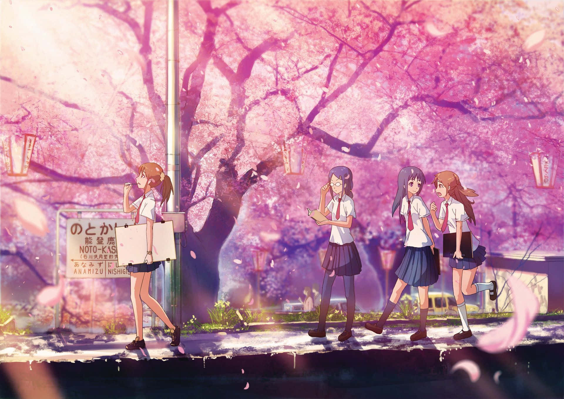 Sakura, cherry blossom tree, school uniforms, Full HD Desktop Wallpaper