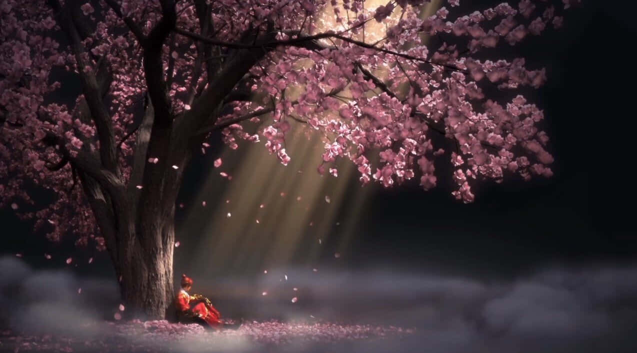 Restless Girl, sakura tree, blossoming cherry tree, SD Desktop Wallpaper