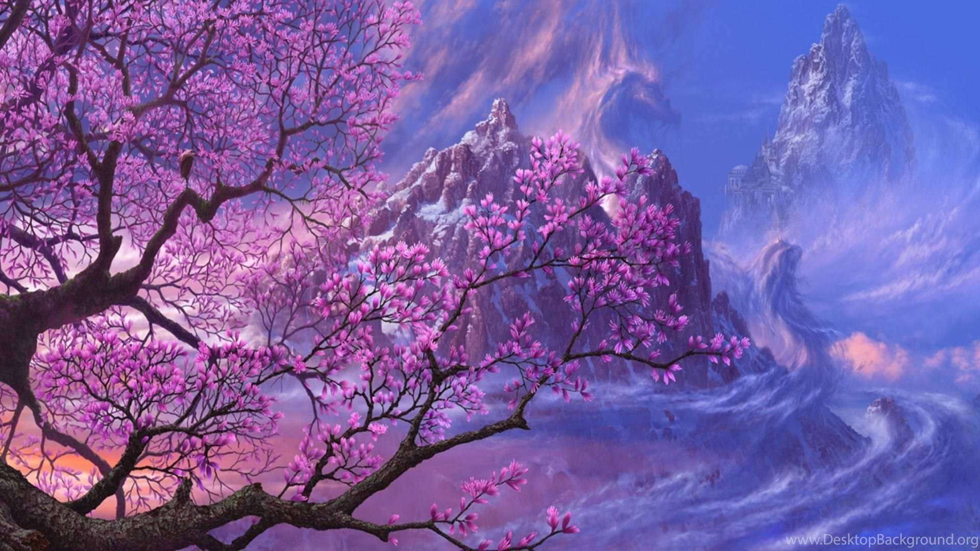Sakura, cherry blossoms, jagged snow-capped mountains, Full HD Desktop Wallpaper