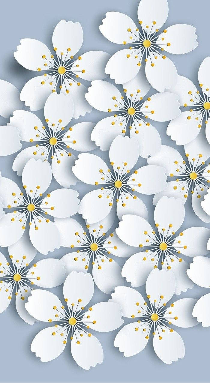 white cherry blossoms, yellow stamens, soft blue background, SD Phone Wallpaper