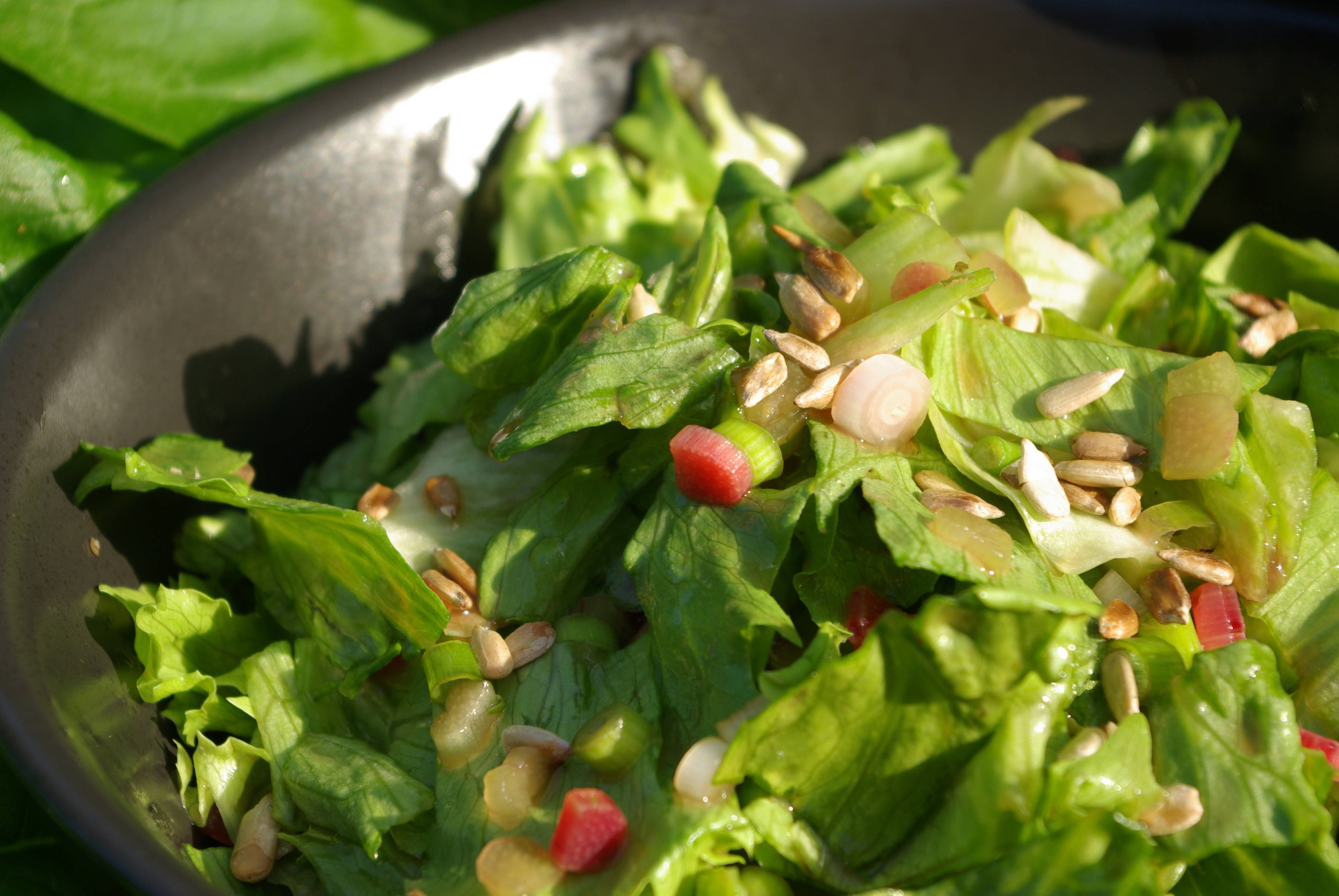 roasted garden rhubarb vegetable salad, fresh green salad, sunflower seeds, 4K Desktop Wallpaper