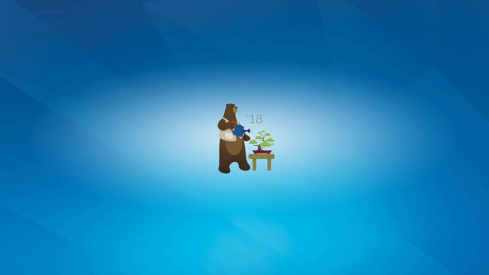 bear, bonsai tree, small table, Full HD Desktop Wallpaper