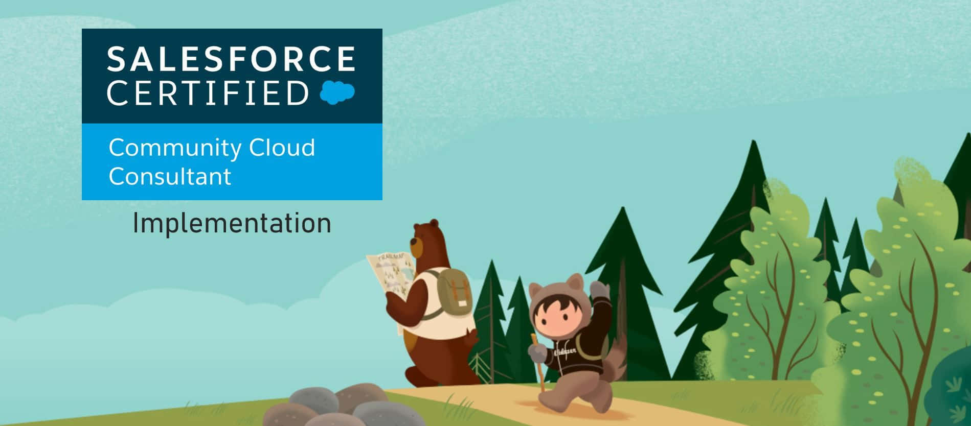 Salesforce certification, cartoon bear, child, HD Desktop Wallpaper