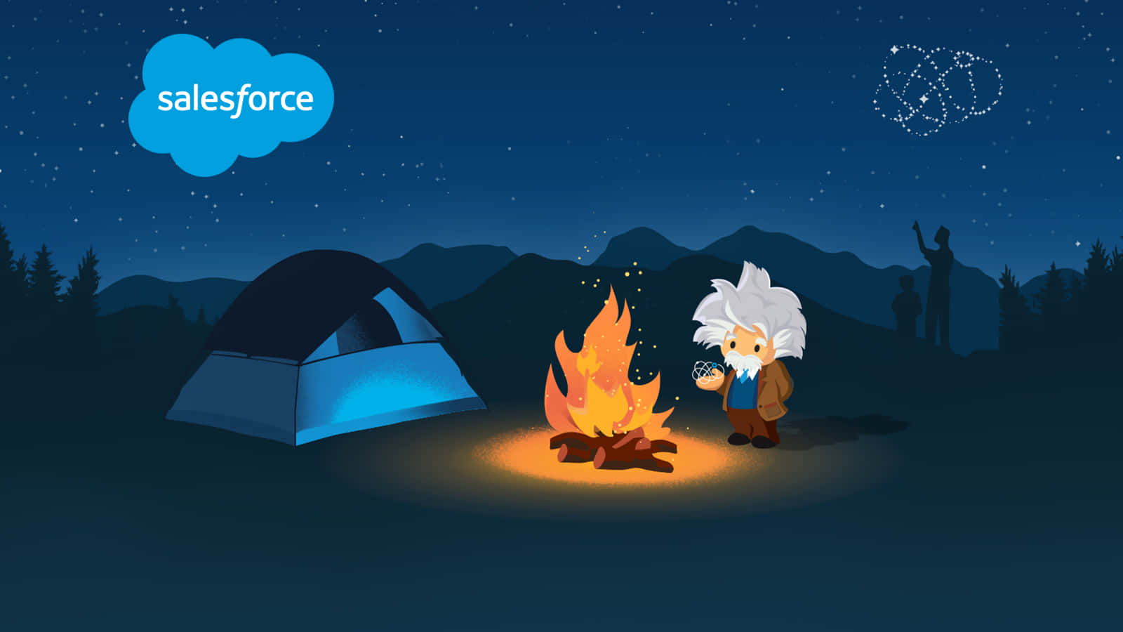 cartoon Einstein, campfire, starry night sky, HD Desktop Wallpaper