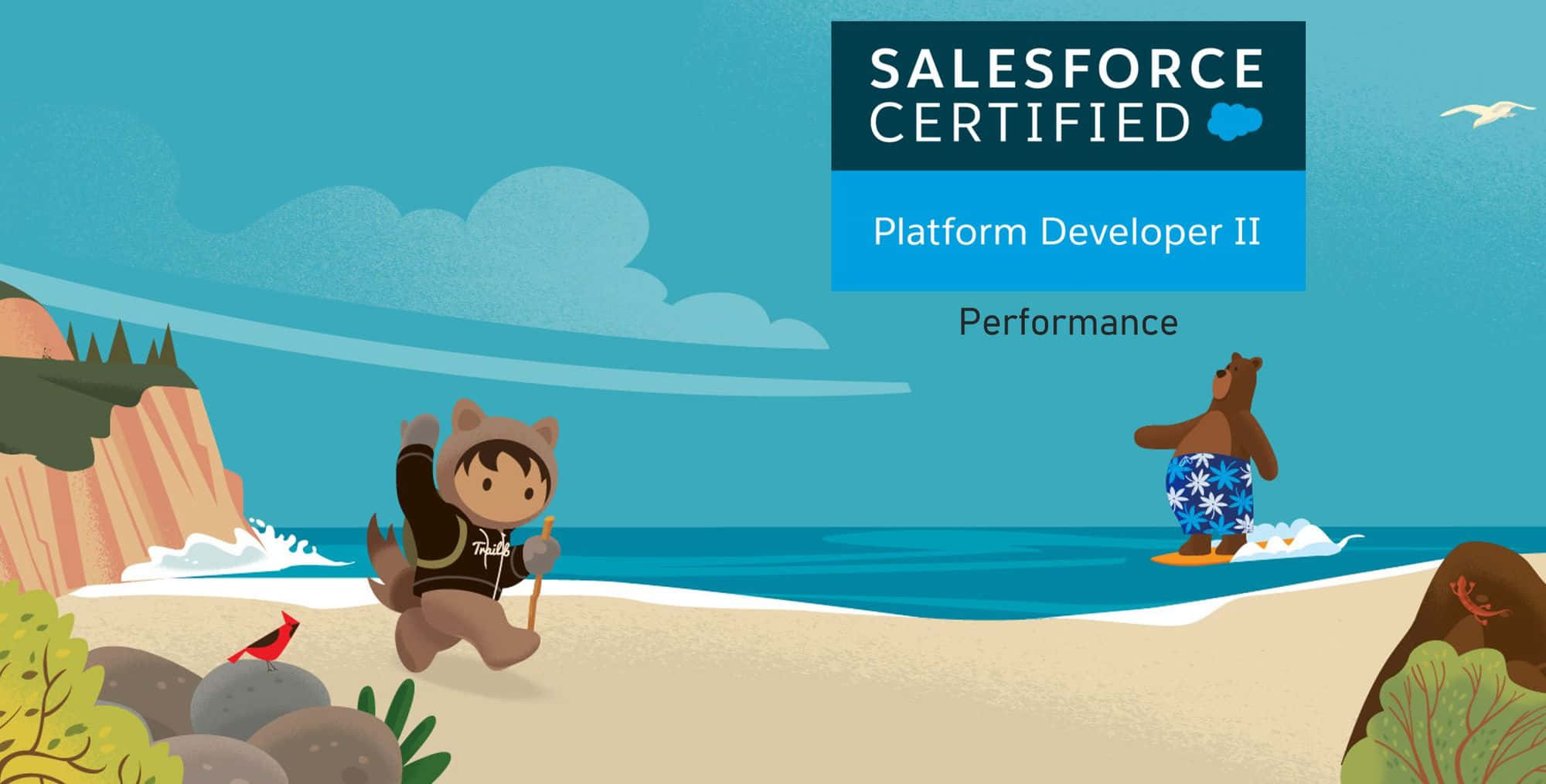Salesforce, cartoon bear, hoodie, Full HD Desktop Wallpaper