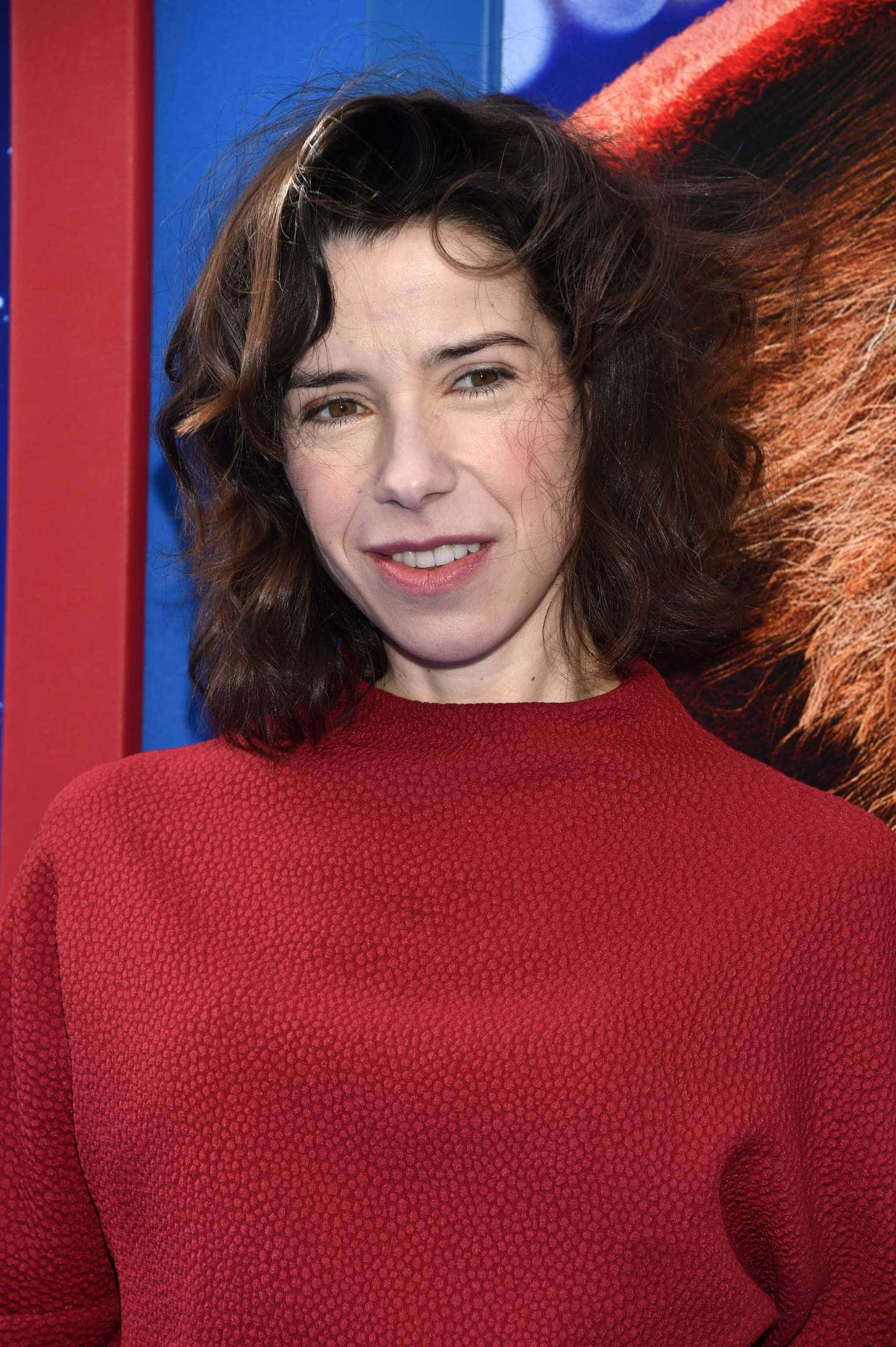 Sally Hawkins, film premiere, wavy brown hair, Full HD Phone Wallpaper