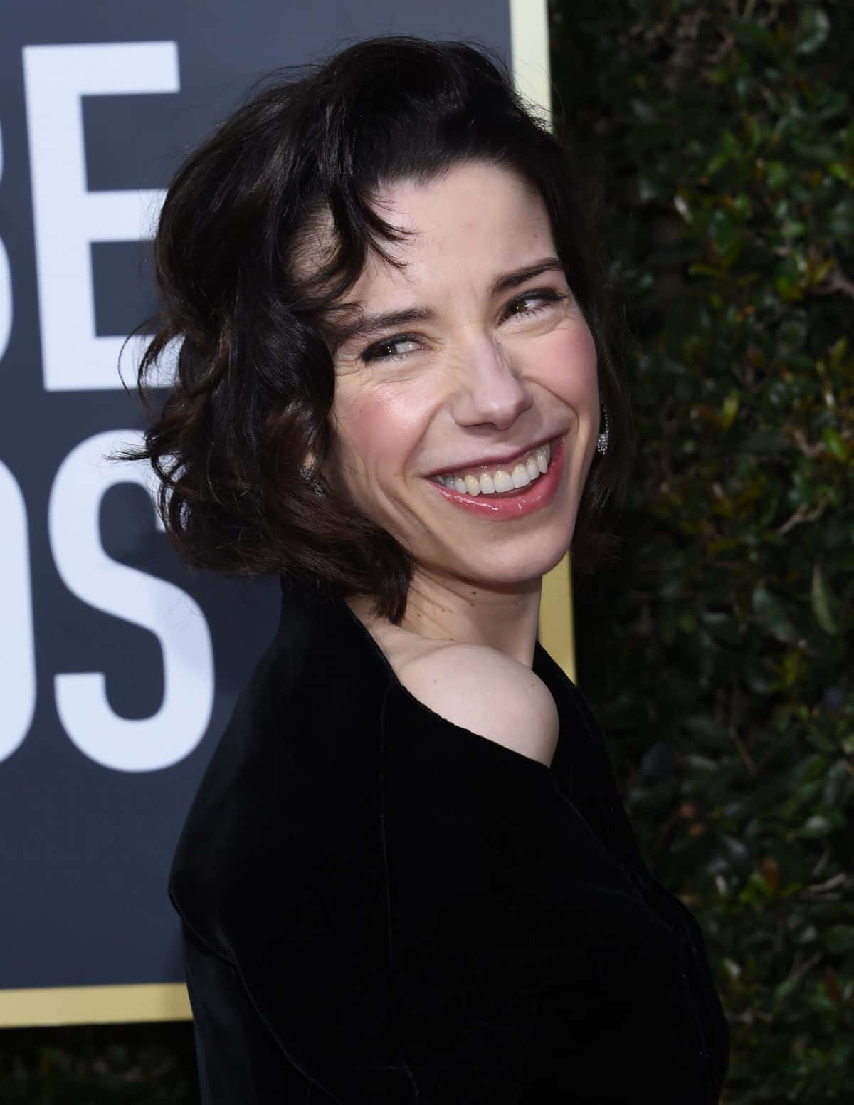 Sally Hawkins, black velvet dress, red carpet event, HD Phone Wallpaper