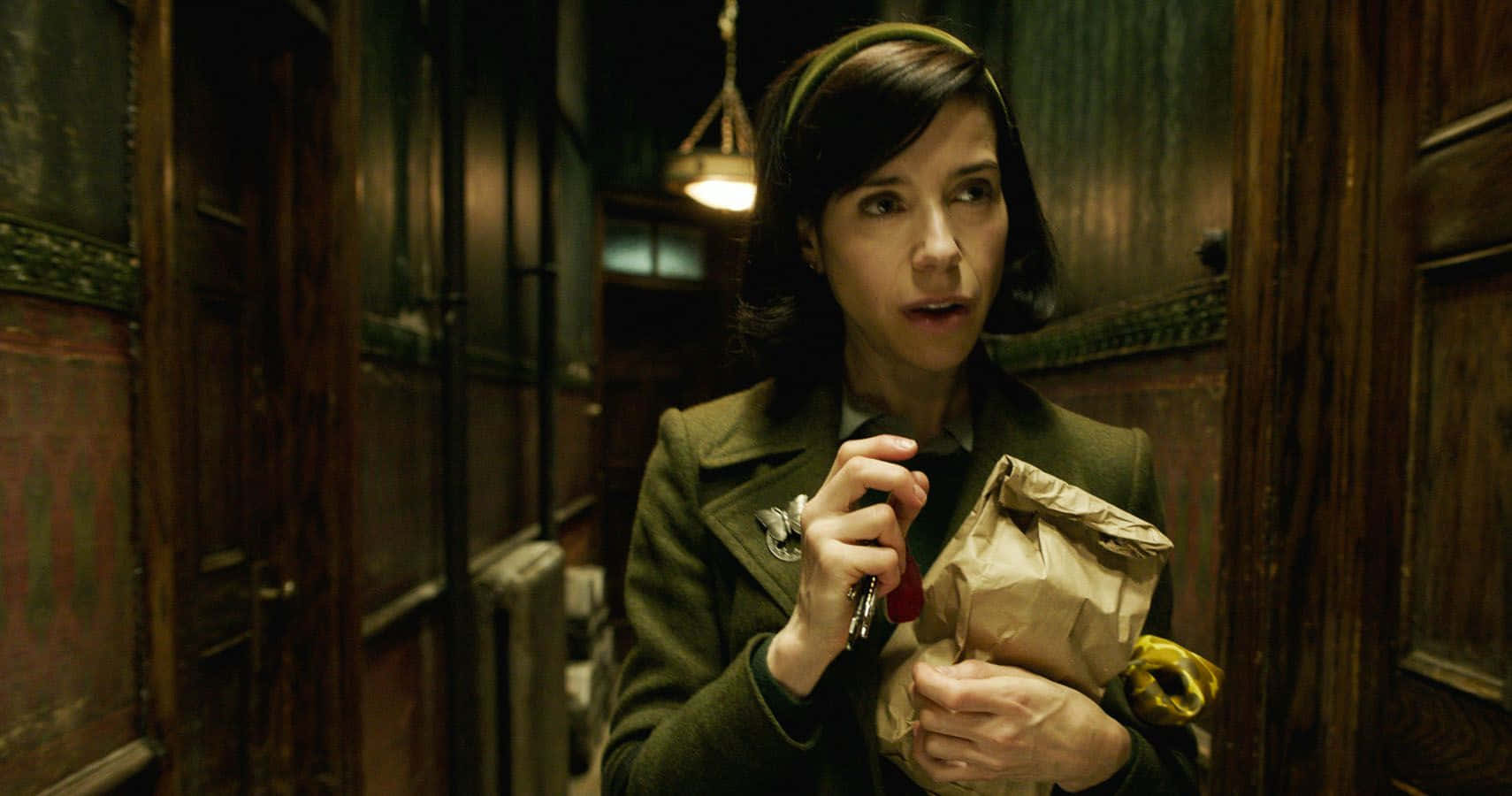 Sally Hawkins, red carpet premiere, green coat, HD Desktop Wallpaper