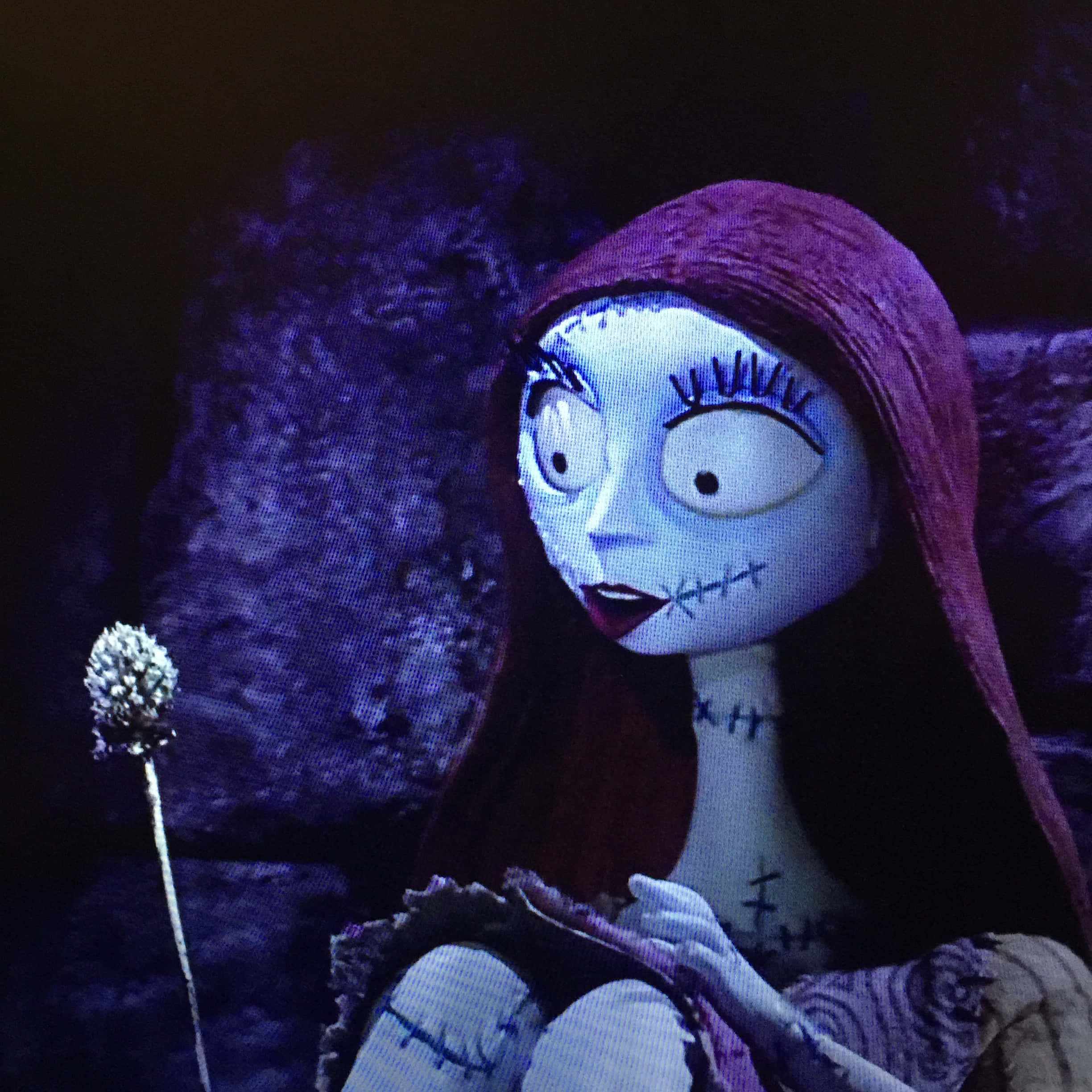 Sally, Nightmare Before Christmas, purple hood, Full HD Desktop Wallpaper