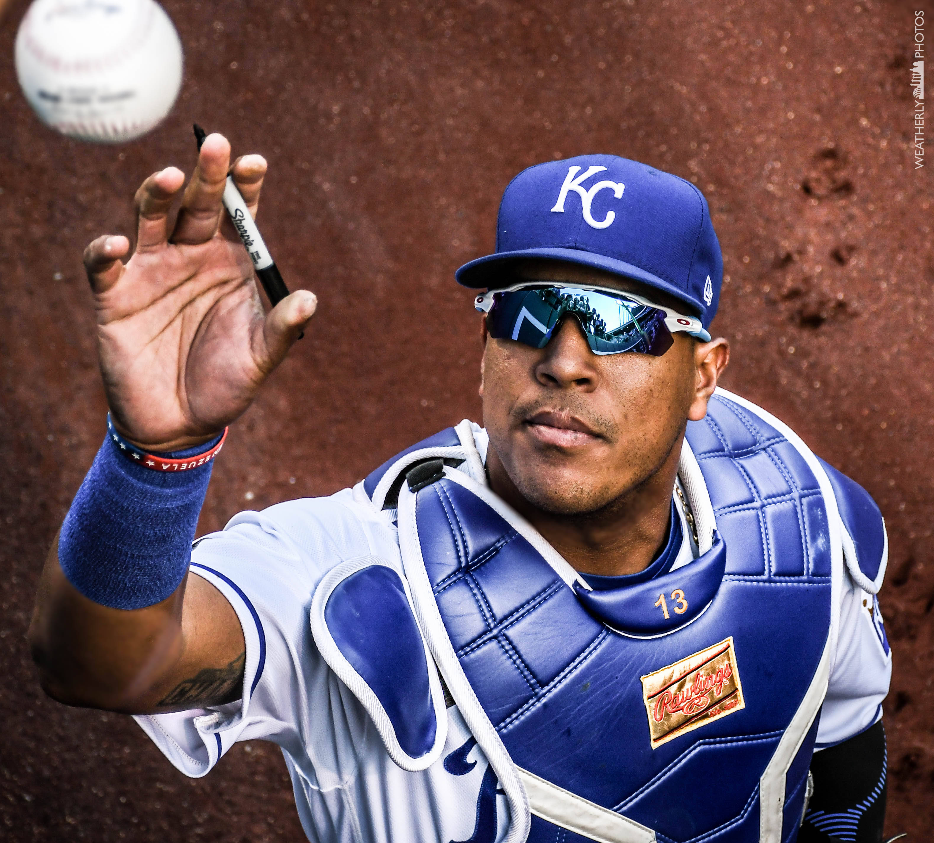Salvador Perez, blue gear, sunglasses, 2K Desktop Wallpaper