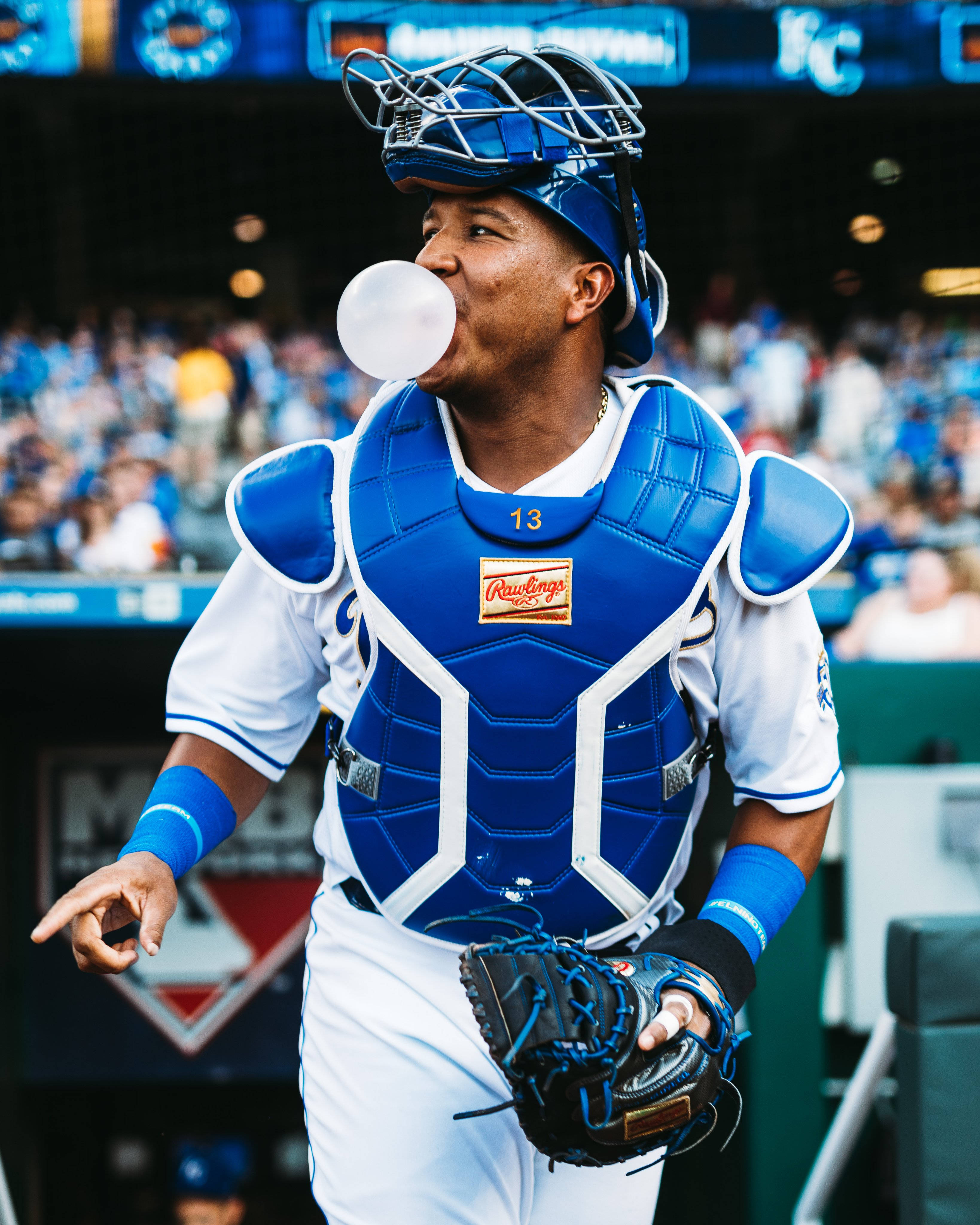 Salvador Perez, blue gear, dugout, 4K Phone Wallpaper