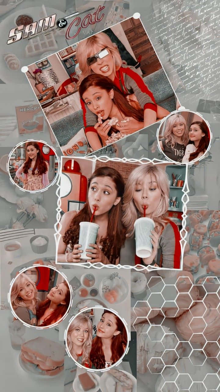 Sam And Cat, Sam, Cat, HD Phone Wallpaper