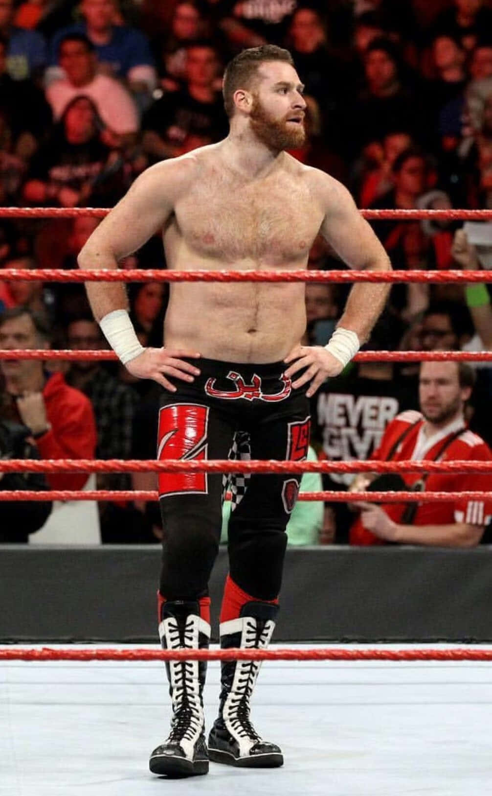 Sami Zayn, wrestling ring, red ropes, HD Phone Wallpaper