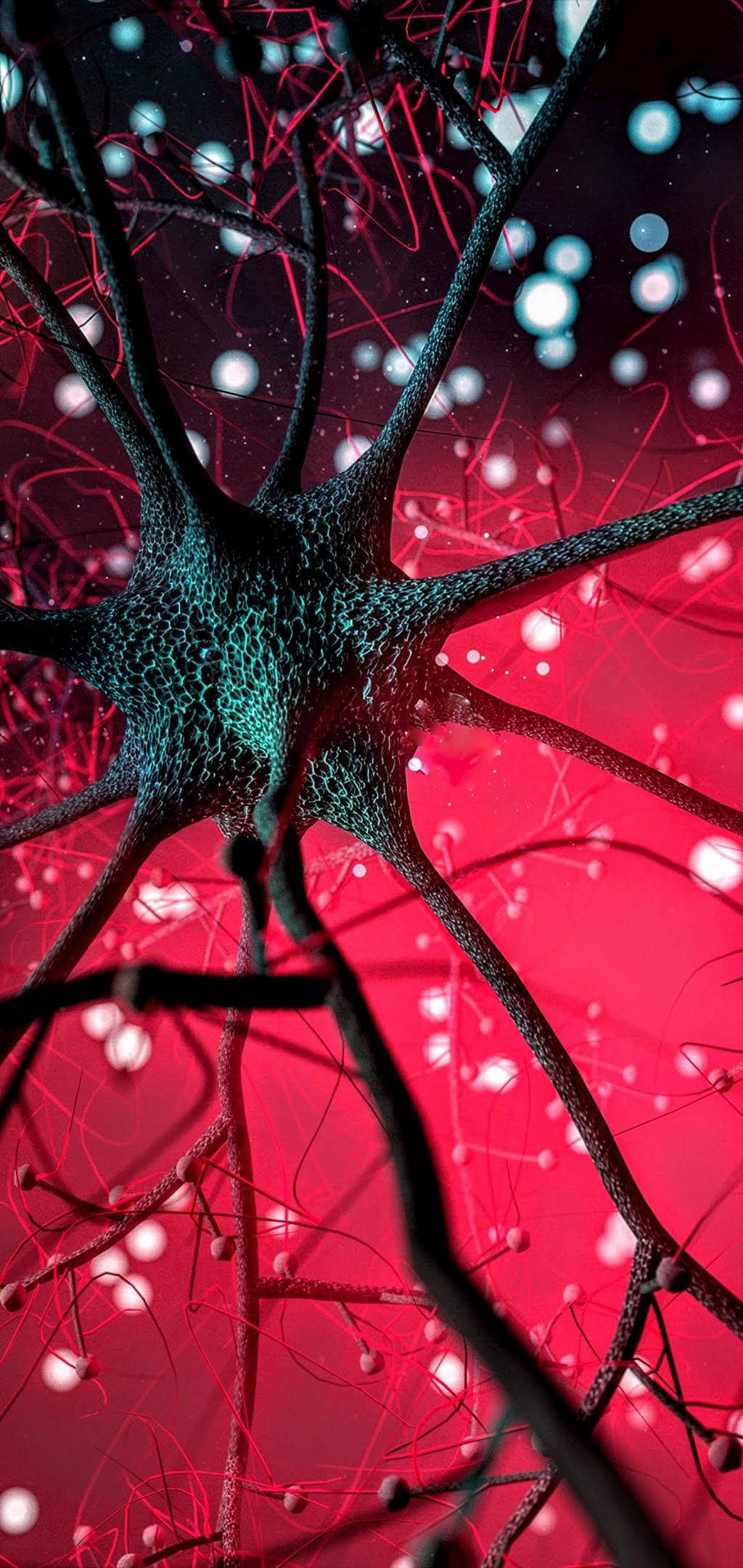 Samsung A71, brain neurons, glowing neuron, Full HD Phone Wallpaper