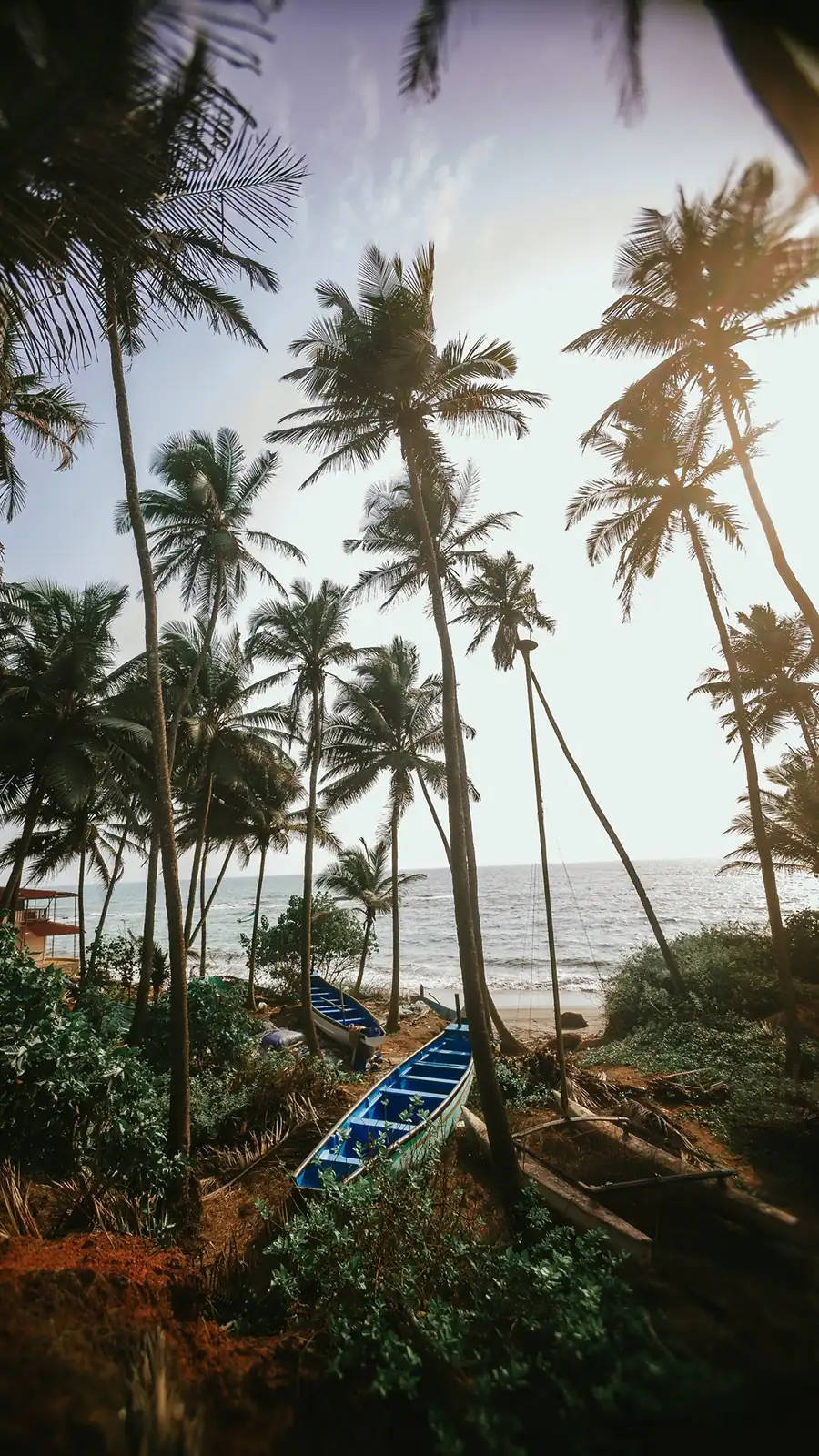 Samsung A71, canoe, palm trees, HD Phone Wallpaper