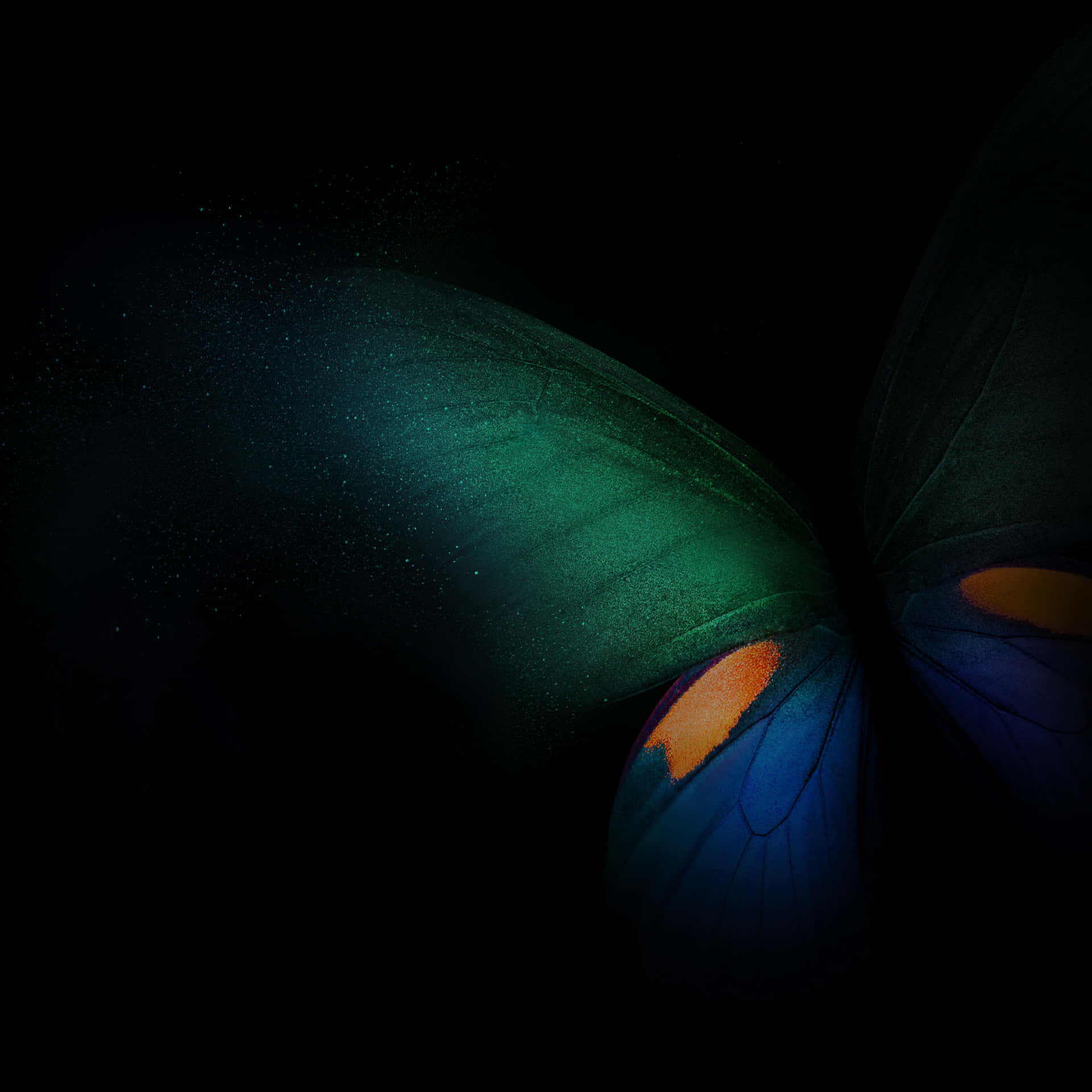 Samsung Dex, green butterfly wings, iridescent green blue and orange, Full HD Desktop Wallpaper
