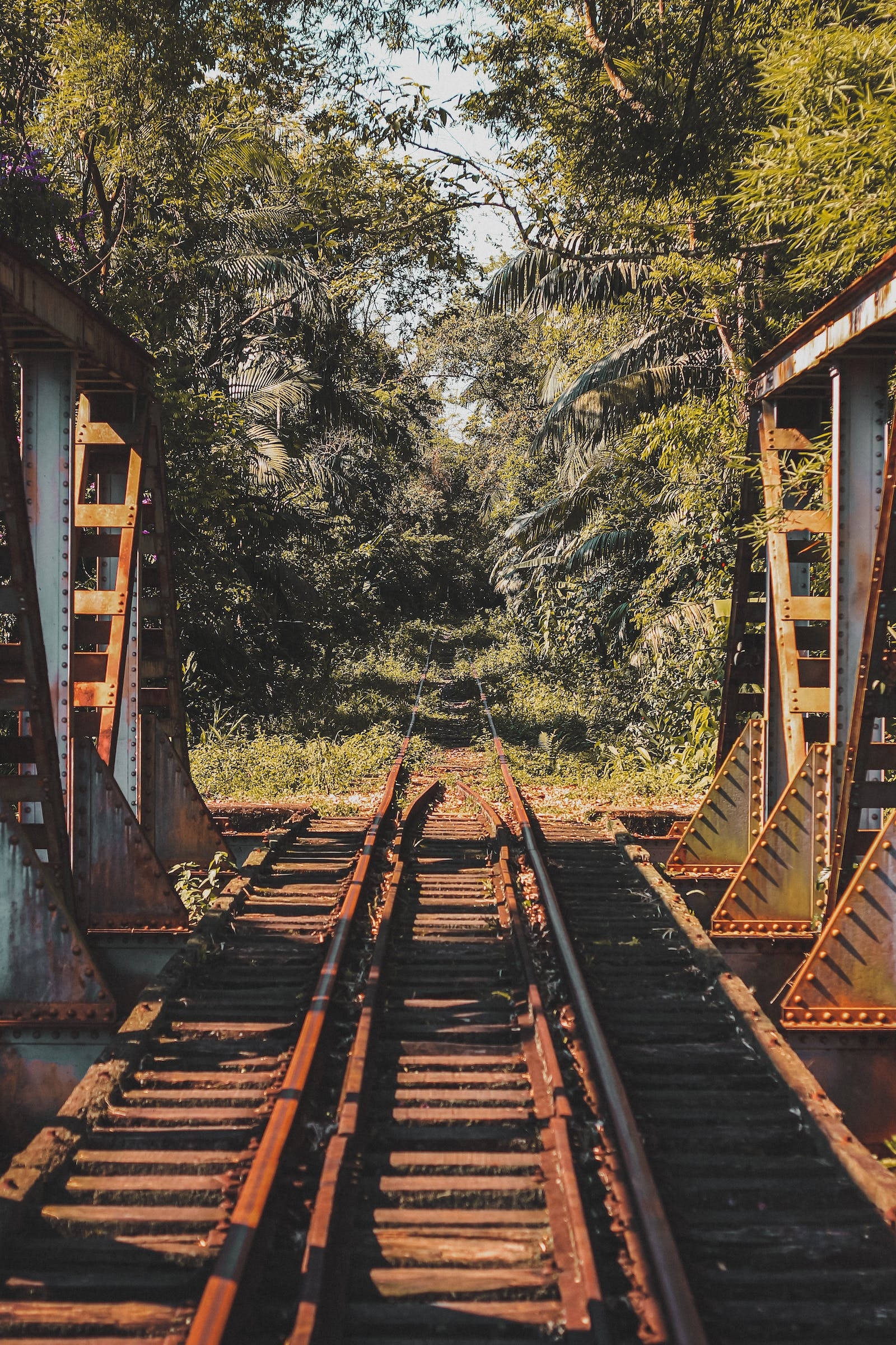 Samsung Galaxy 4K, train tracks, forest, Full HD Phone Wallpaper