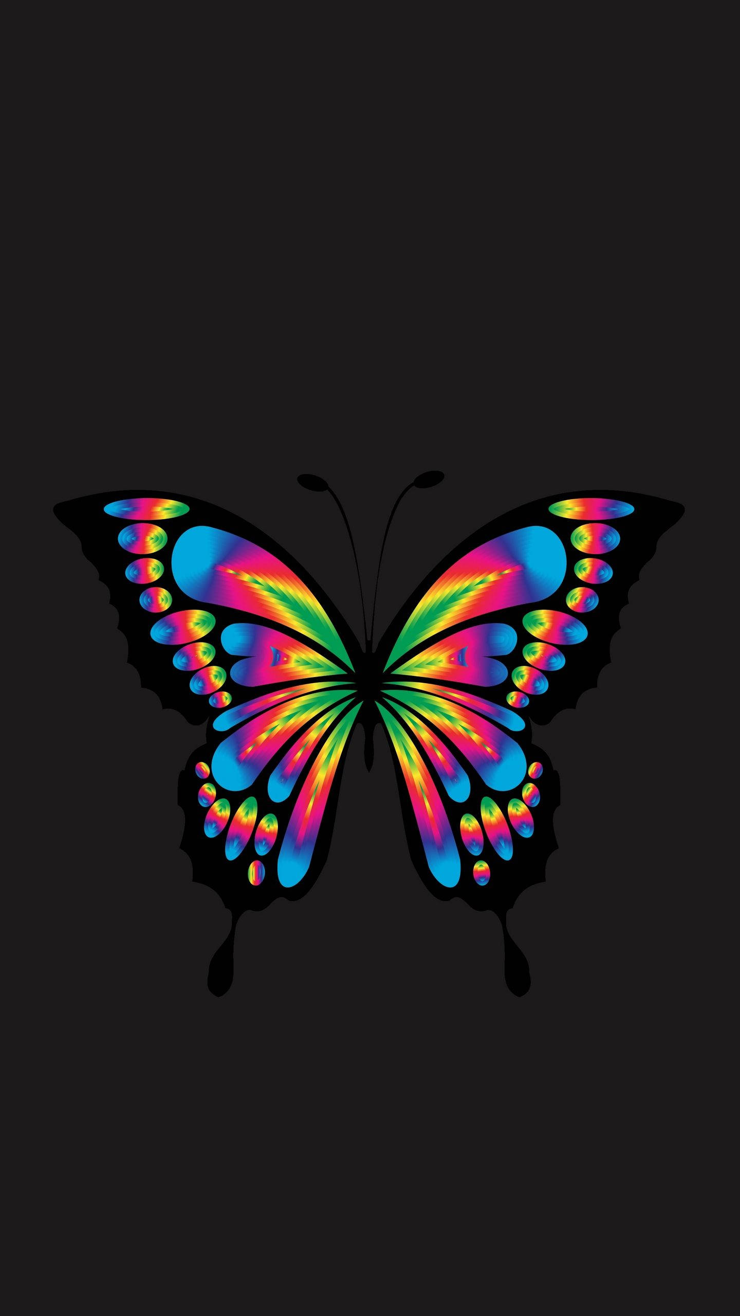 Samsung Galaxy 4K, colorful butterfly, rainbow butterfly, 2K Phone Wallpaper