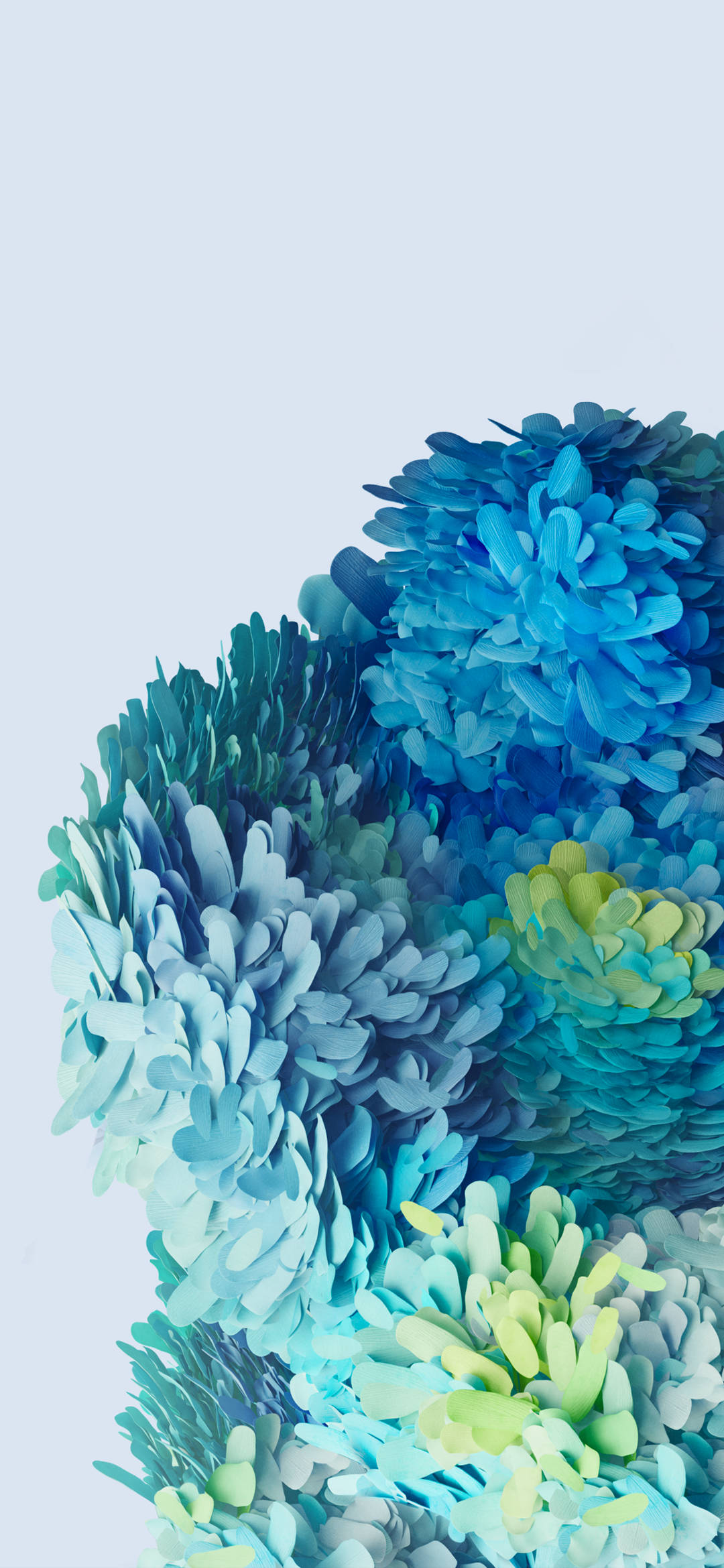 Samsung Galaxy S20, blue flowers, pale blue background, Full HD Phone Wallpaper