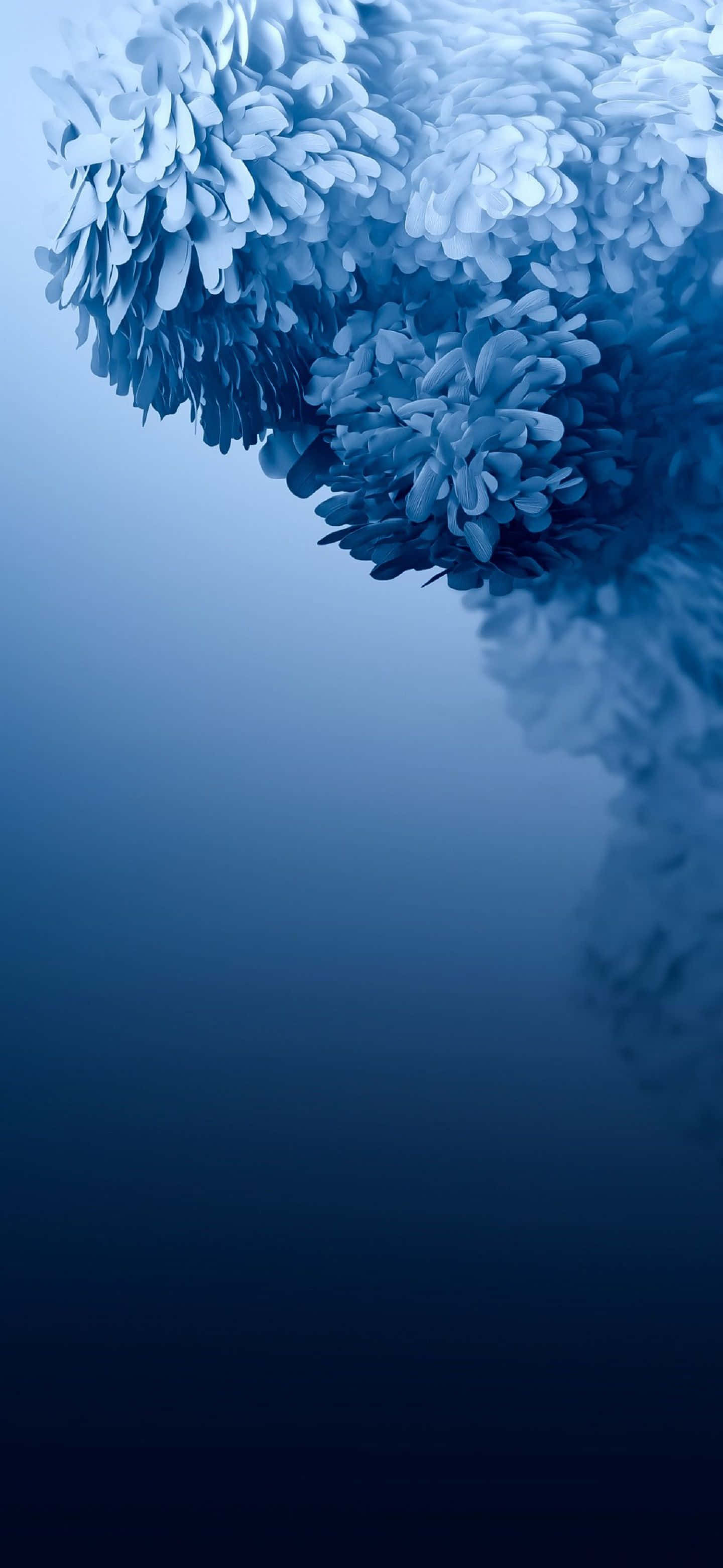Samsung Galaxy S, galaxy s 1440 x 3120 wallpaper, blue floral forms, 2K Phone Wallpaper