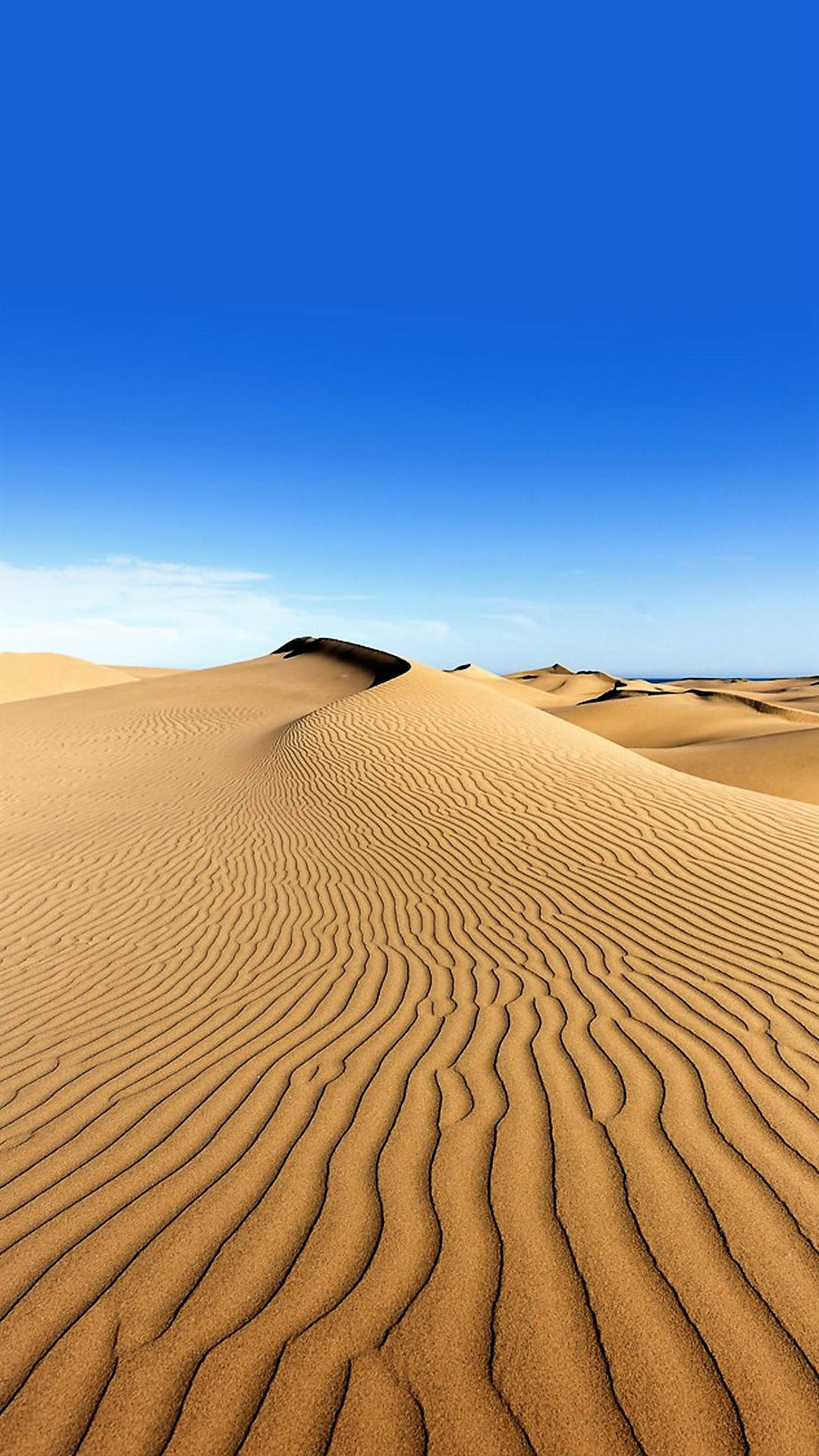 desert, golden sand dunes, clear blue sky, Full HD Phone Wallpaper