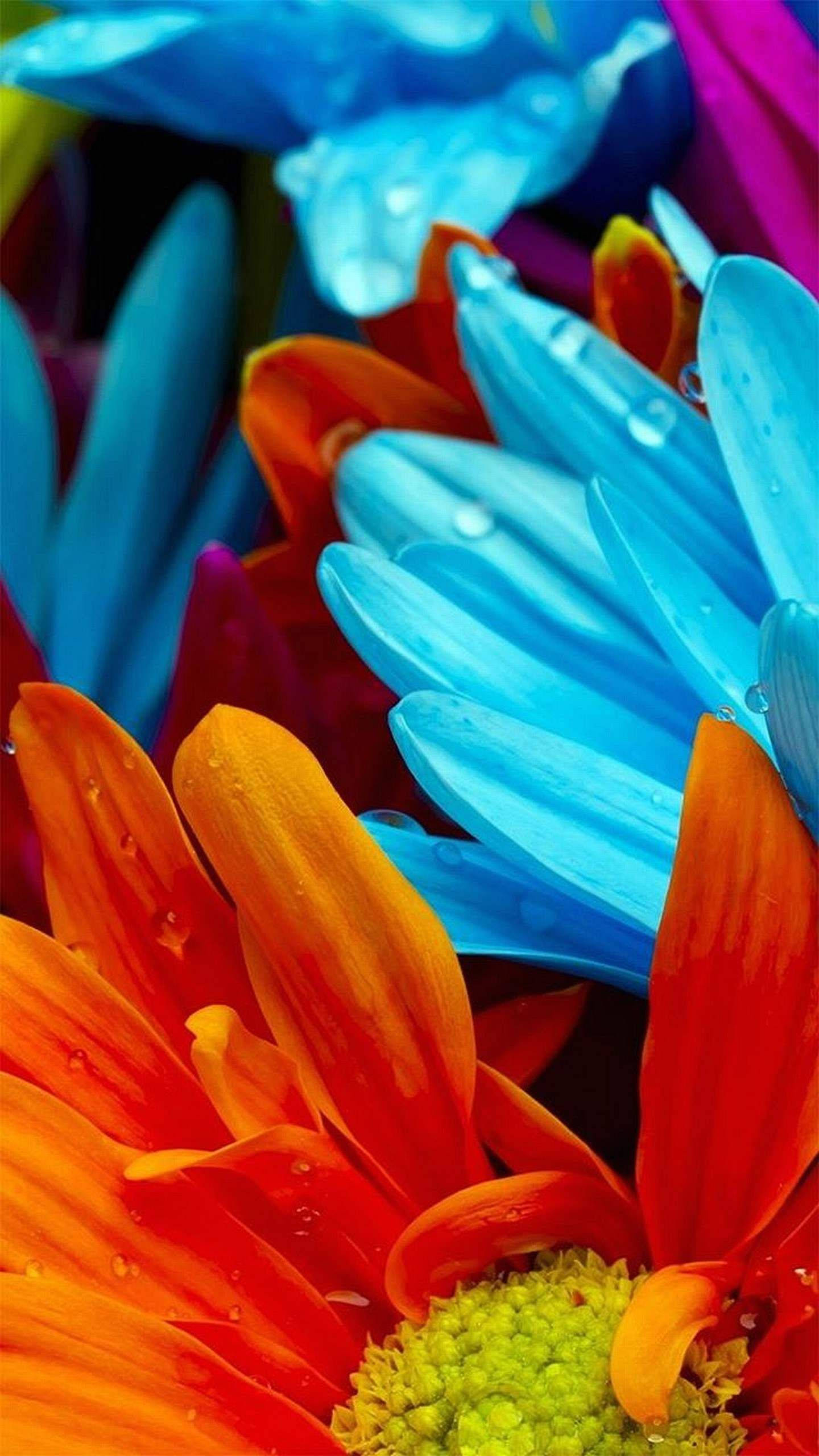 Samsung Galaxy S6 Edge, flower bouquet, vibrant blue, 2K Phone Wallpaper