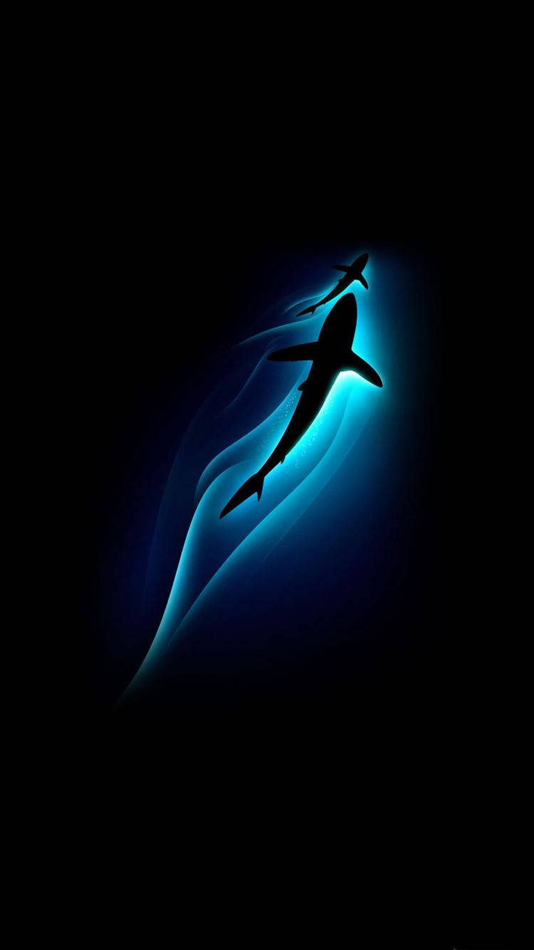 Samsung Galaxy S6 Edge, shark, deep ocean darkness, HD Phone Wallpaper