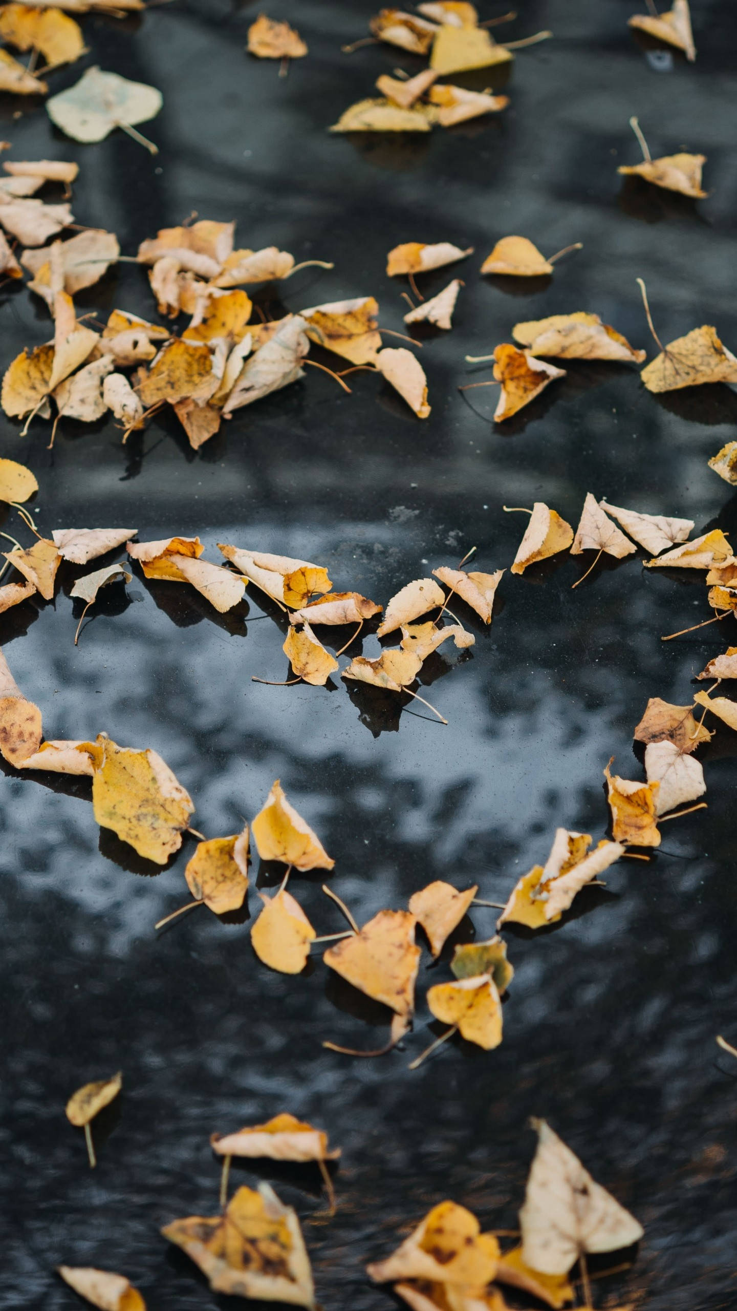 Samsung Galaxy S6 Edge, heart shape, golden autumn leaves, 2K Phone Wallpaper