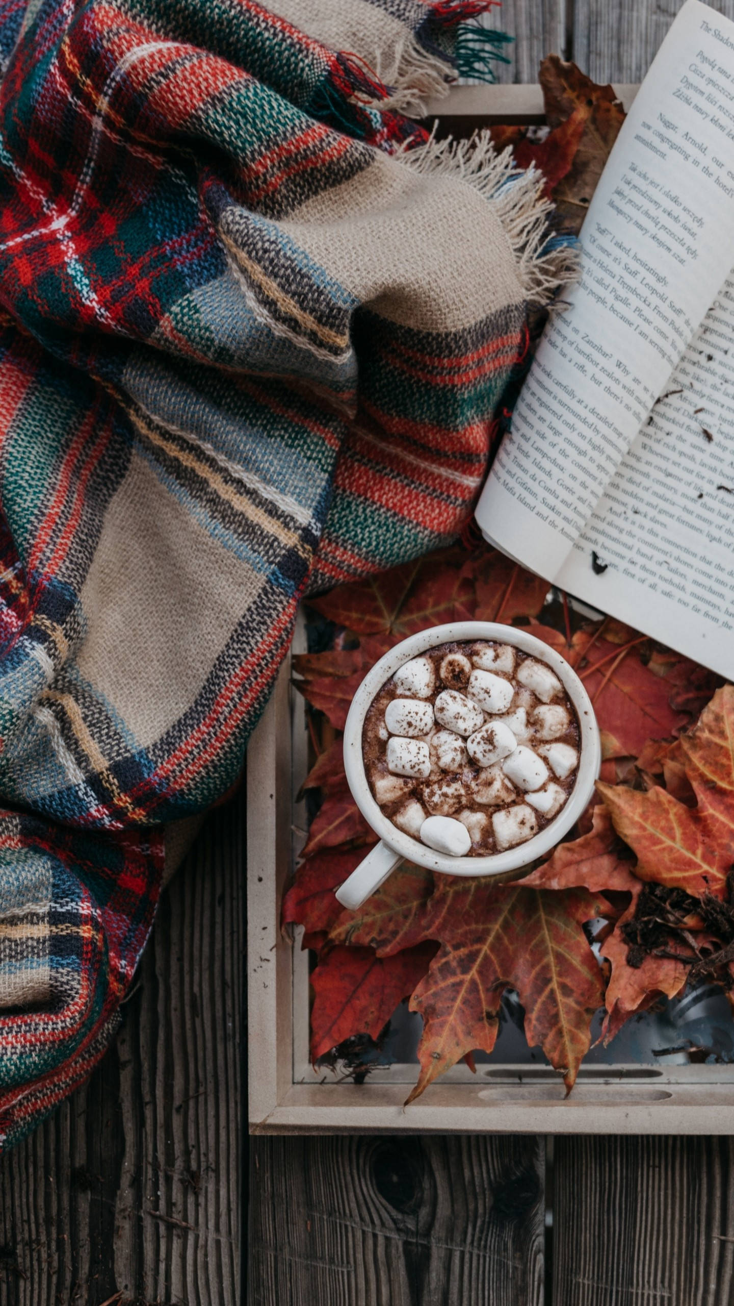 Samsung Galaxy S6 Edge, autumn scene, mug of hot chocolate, 2K Phone Wallpaper