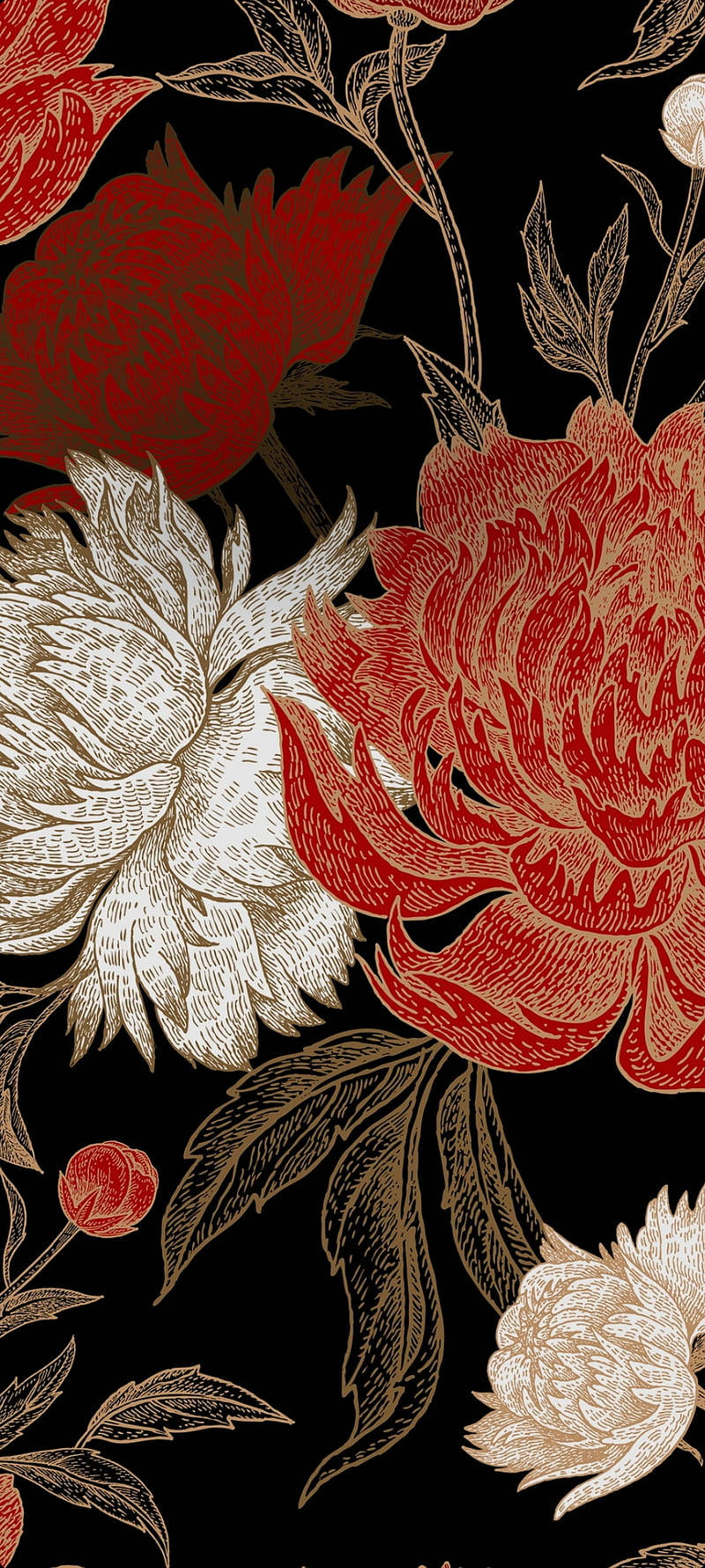 Samsung M21, red peonies, cream peonies, HD Phone Wallpaper