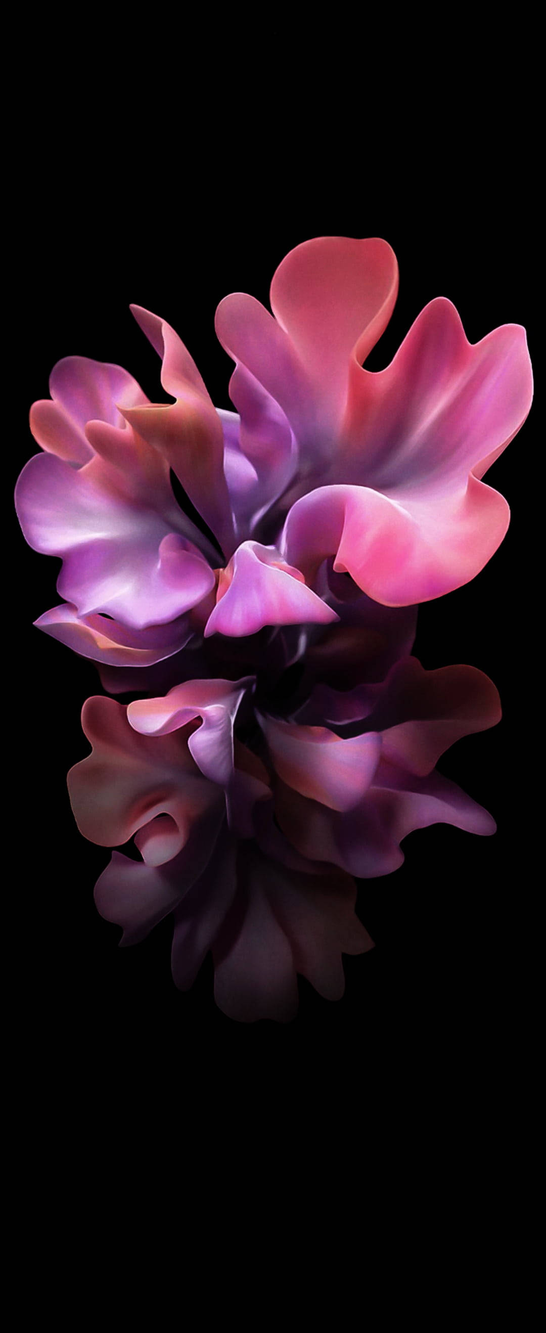 Samsung S20 Fe, red flower, pink petals, 2K Phone Wallpaper
