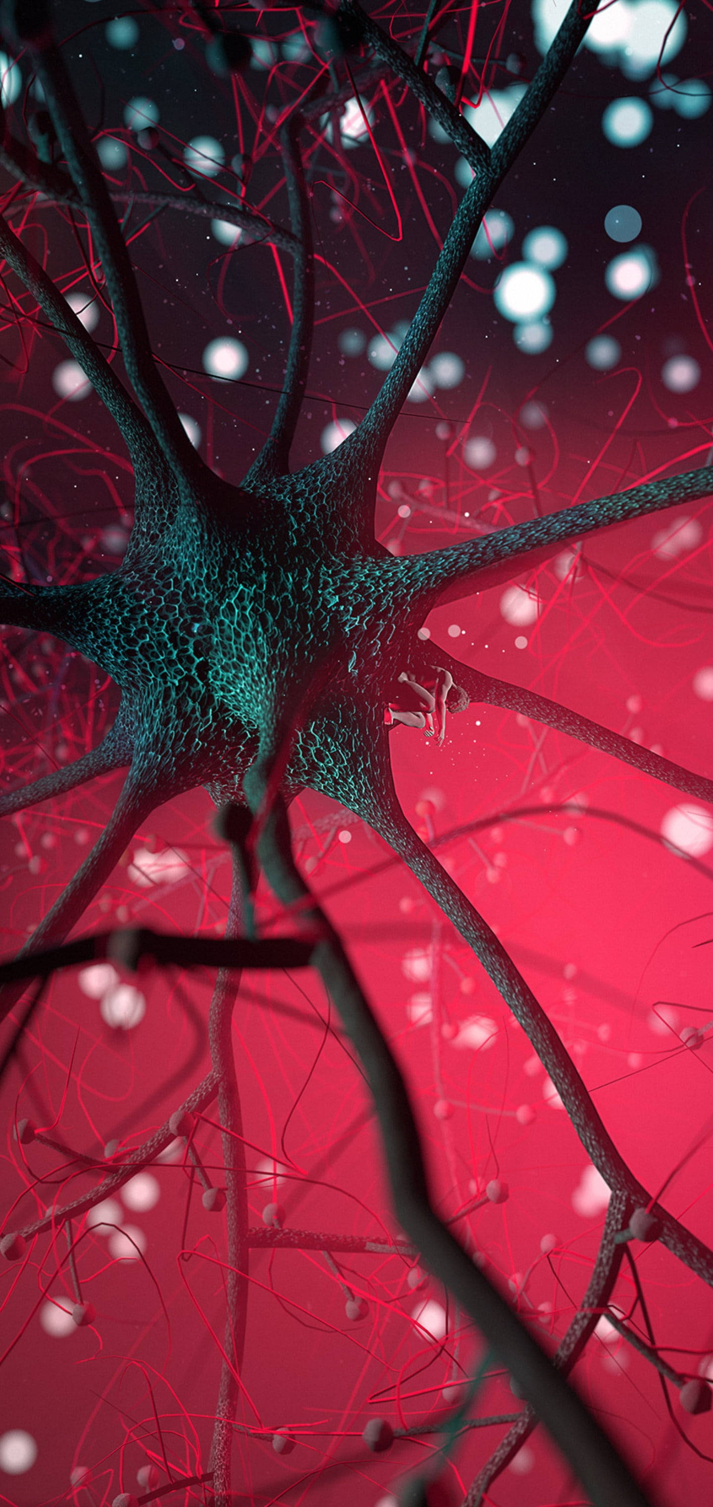 Samsung S20 FE, teal neuron, branching dendrites, 2K Phone Wallpaper