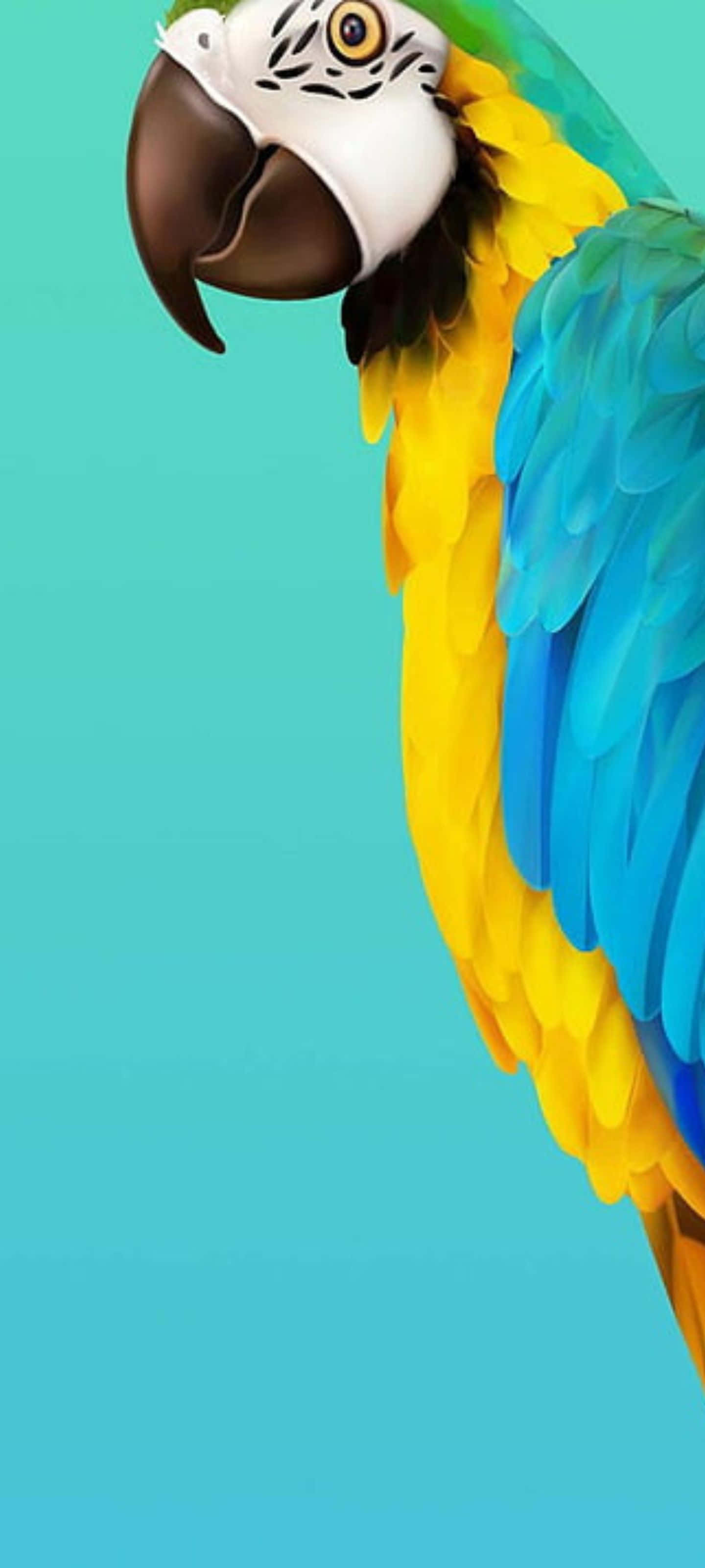 Samsung S20, vibrant blue, yellow macaw, 2K Phone Wallpaper