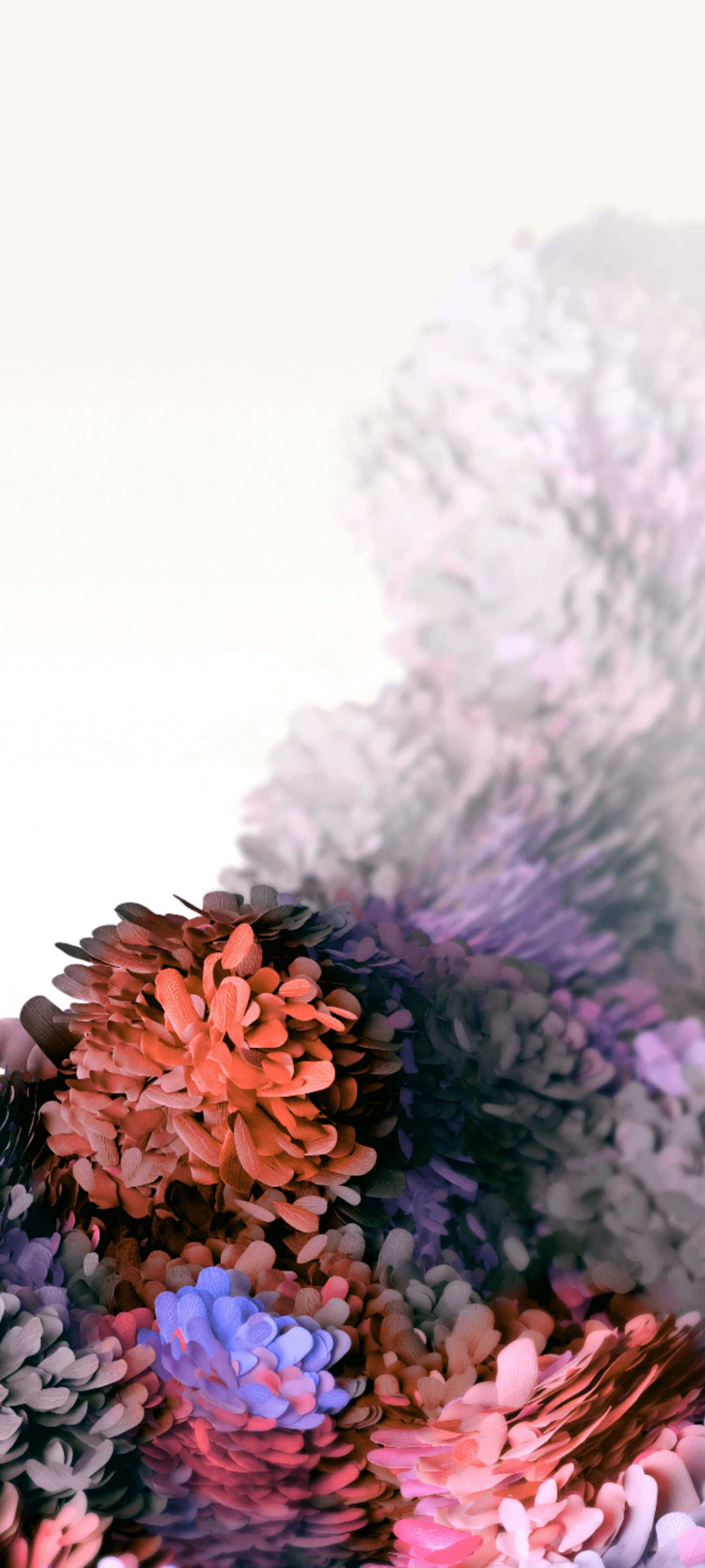 Samsung S20, coral purple, pink, 2K Phone Wallpaper